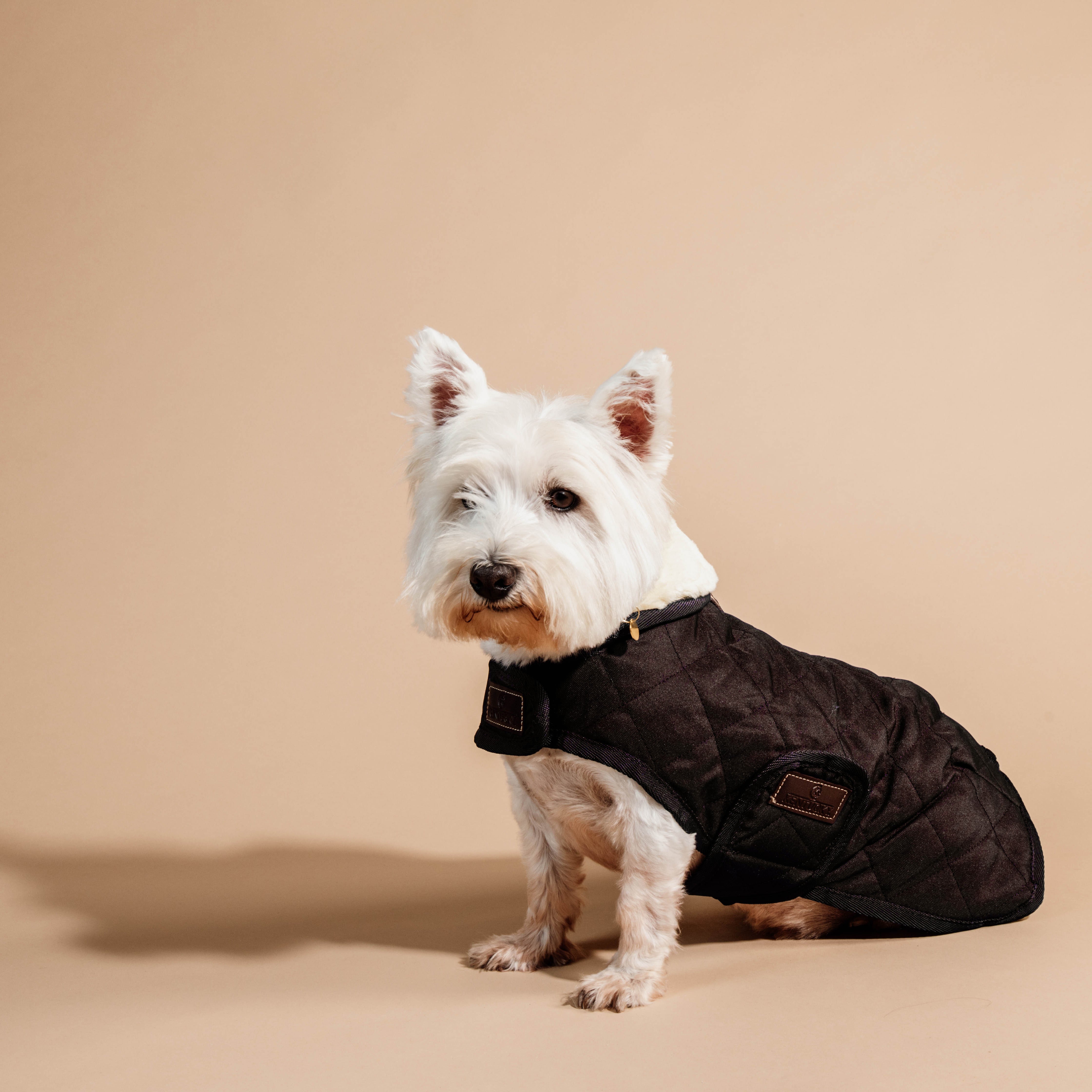 Hundemantel Original DH