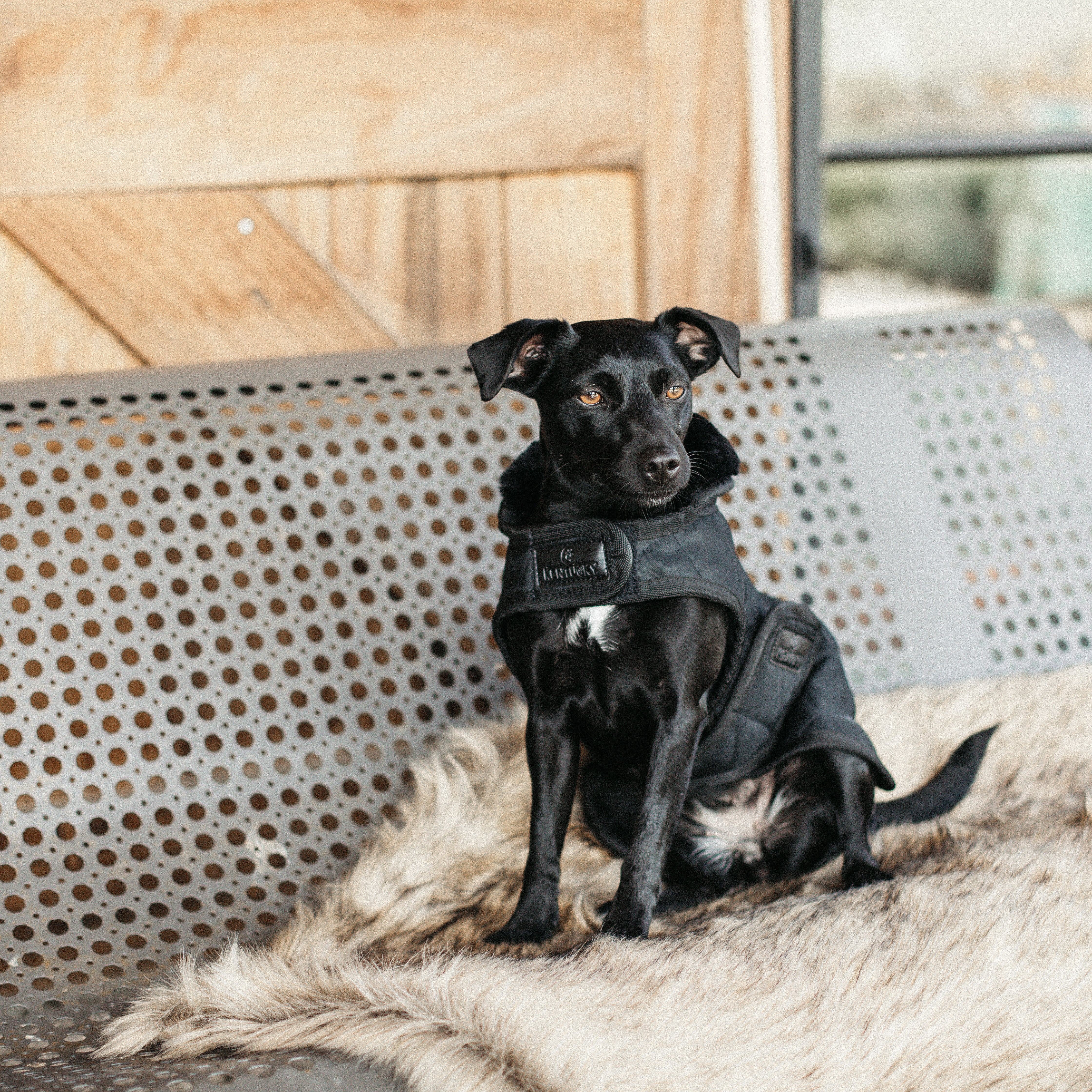 Hundemantel Original S M