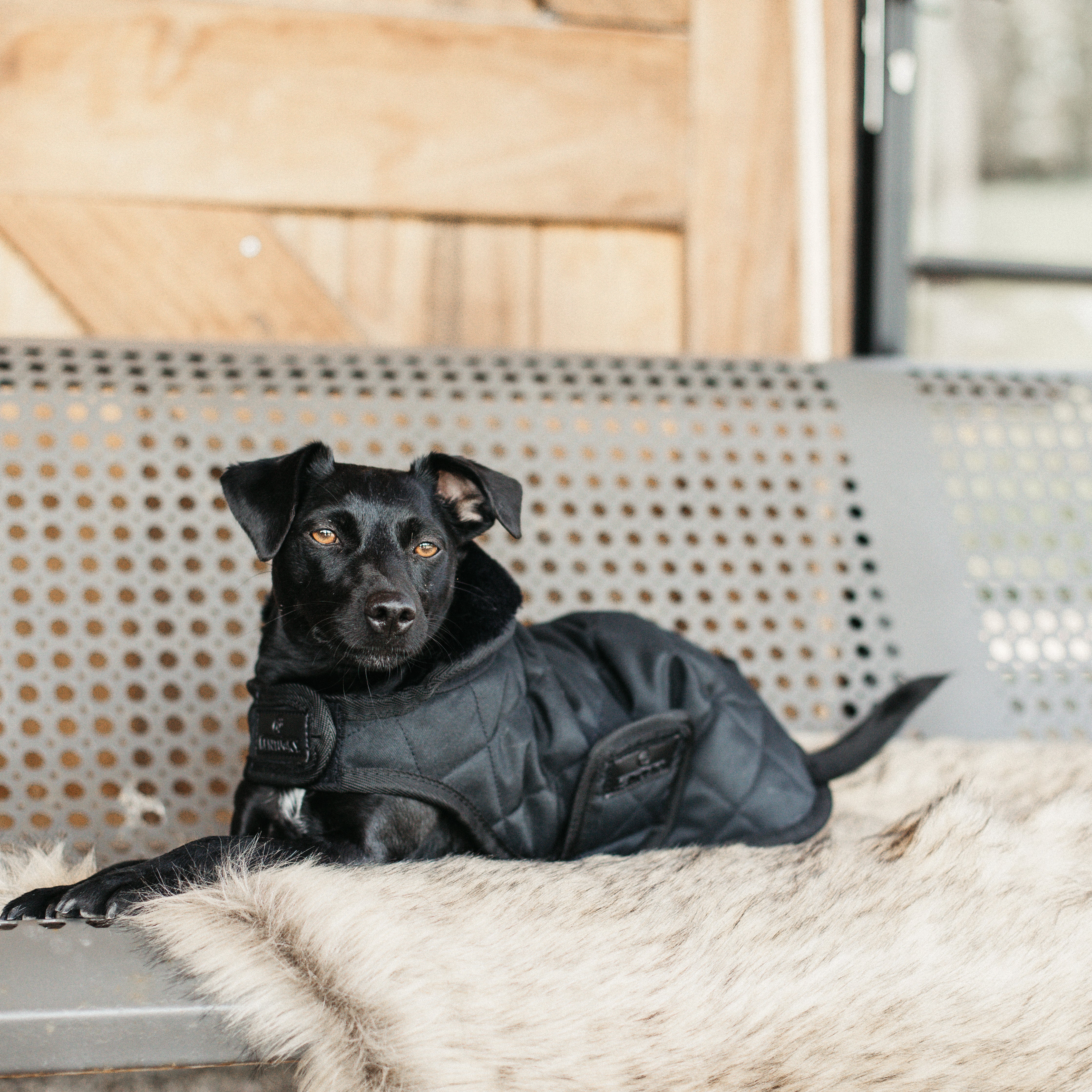 Hundemantel Original S M