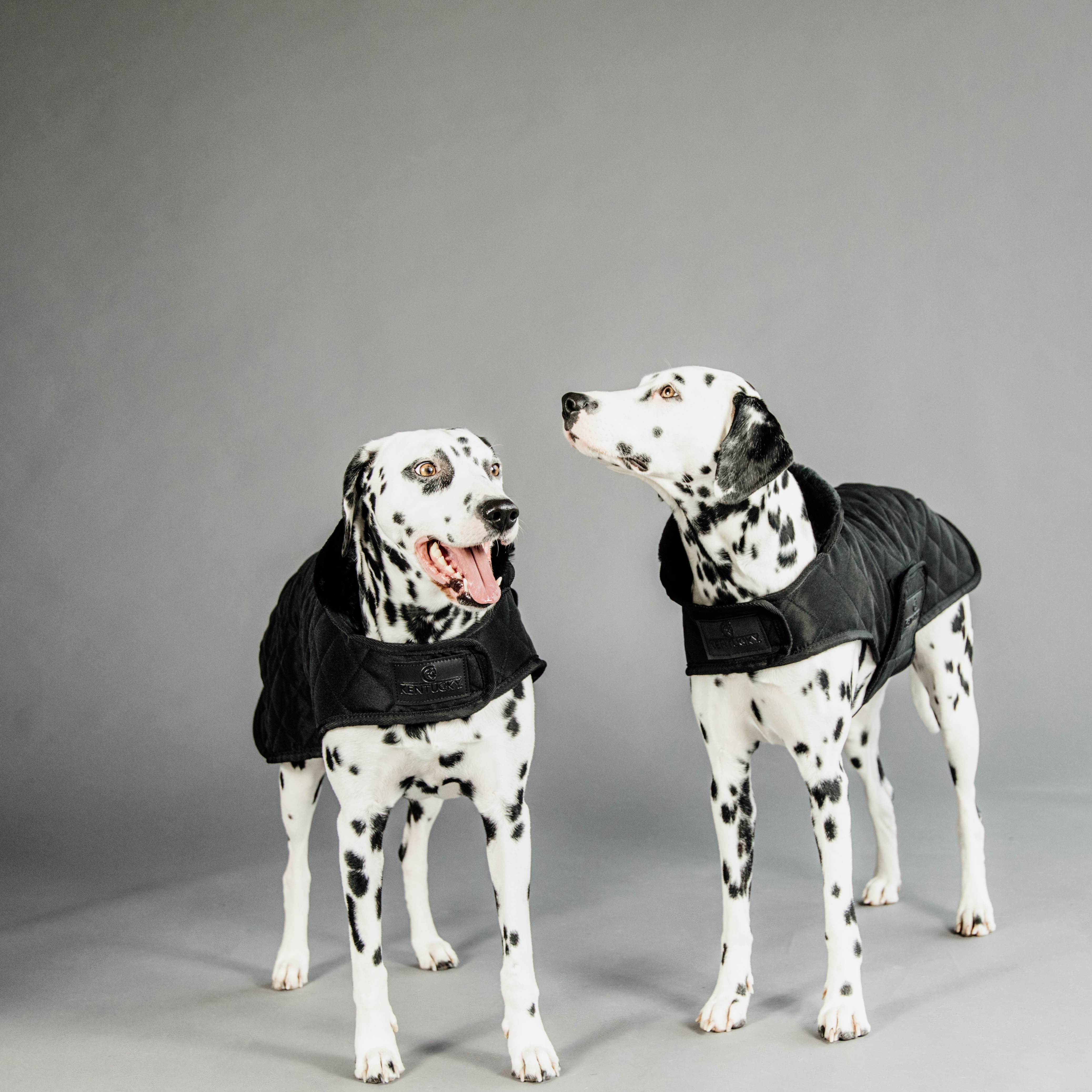 Hundemantel Original S M