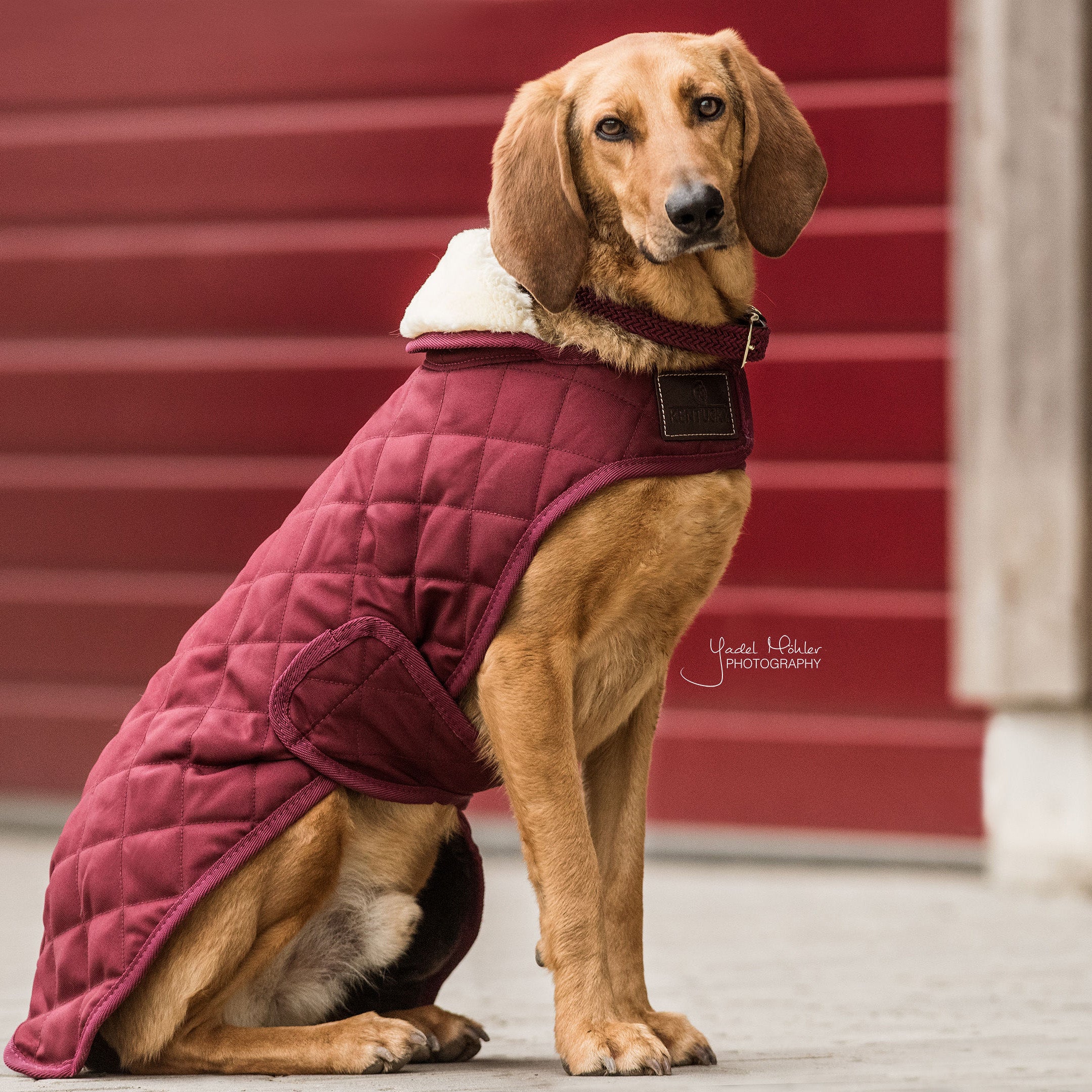 Hundemantel Original Extra 62
