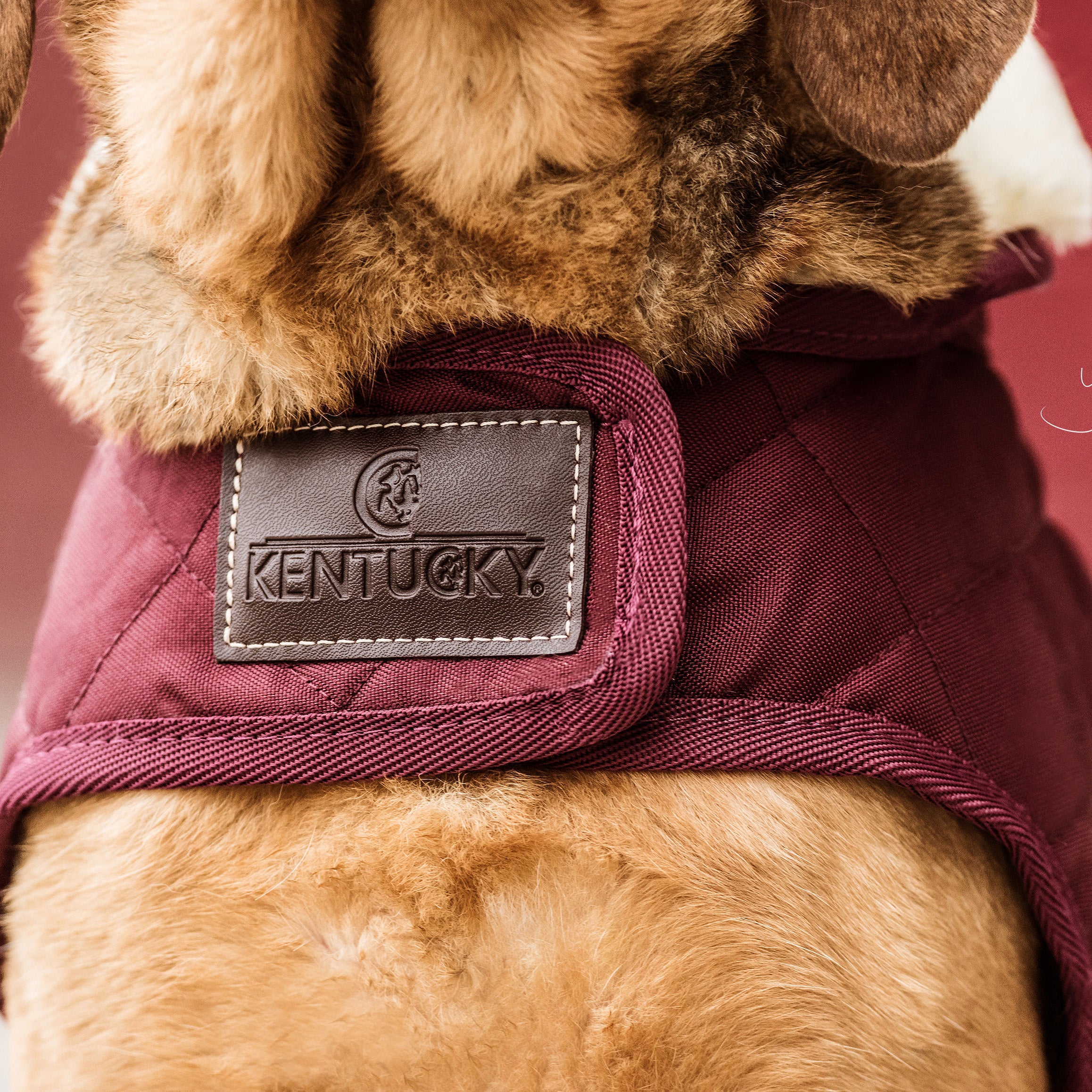 Hundemantel Original Extra 62