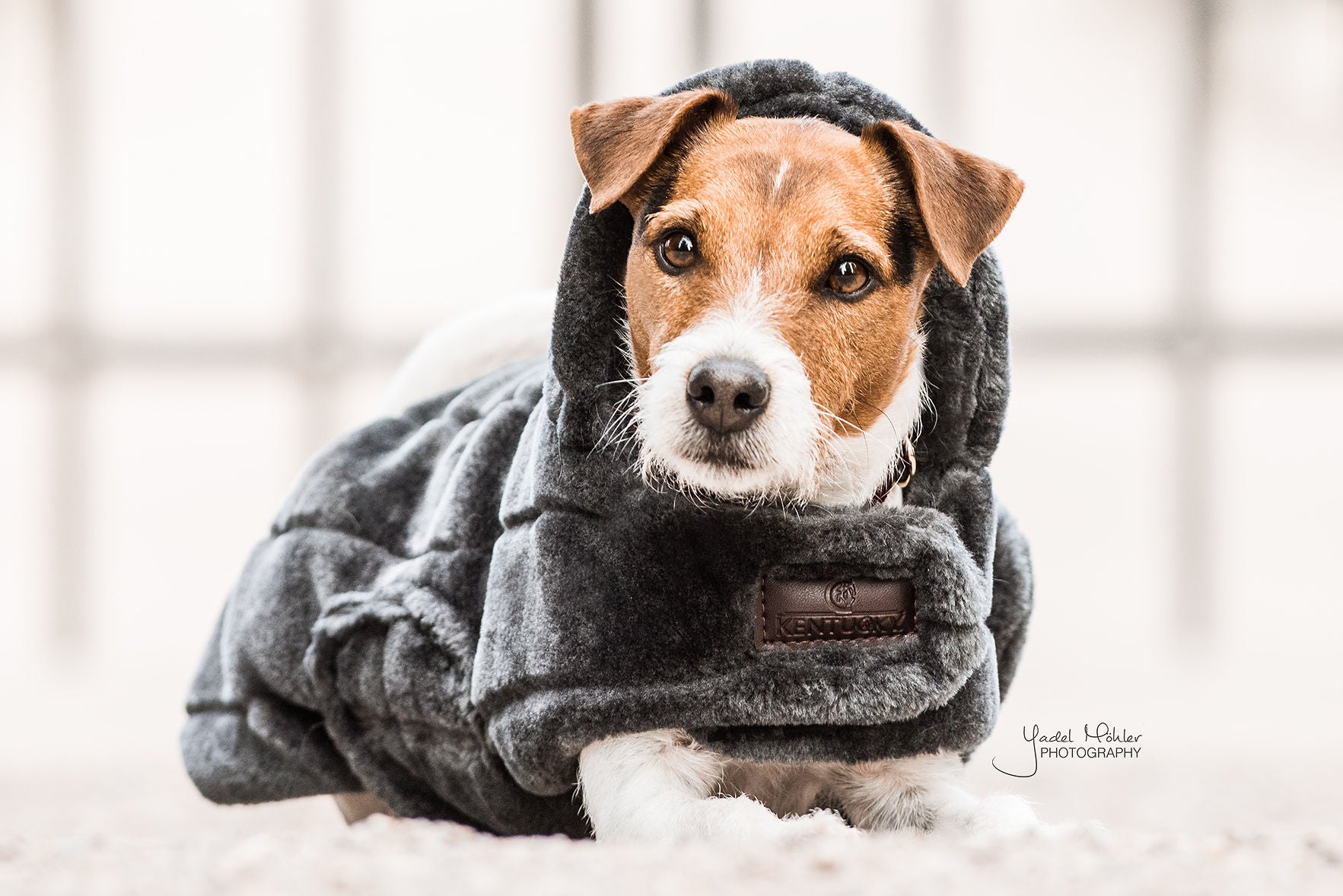 Hundemantel Fake Fur SM