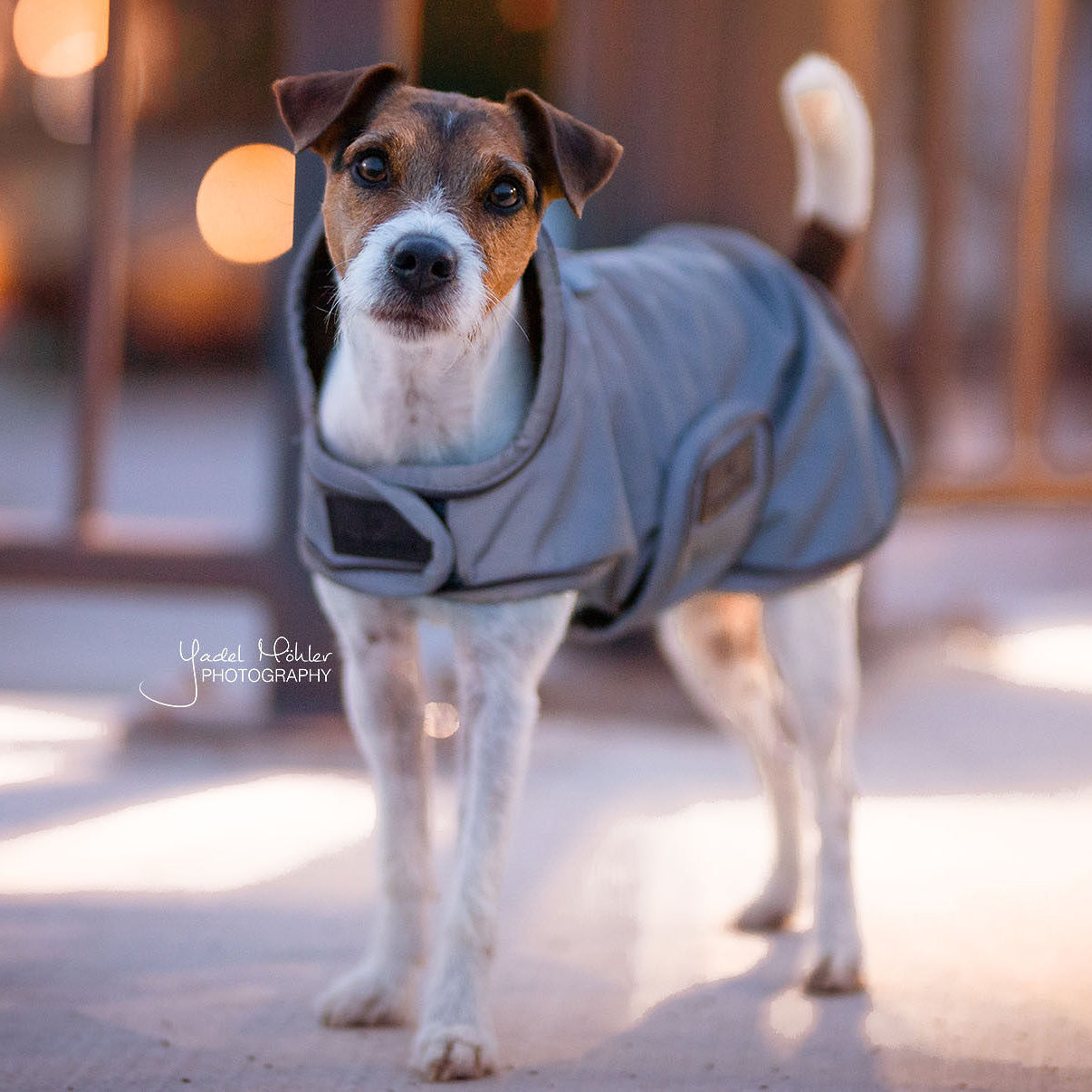 Hundemantel Reflektierend & Water Repellent SM