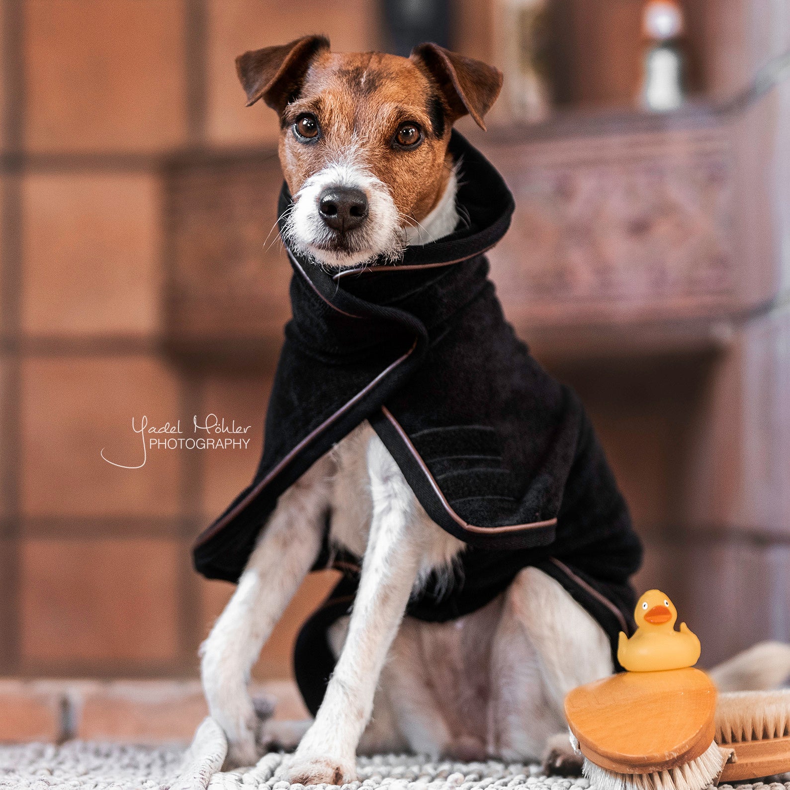 Hundemantel Towel 76