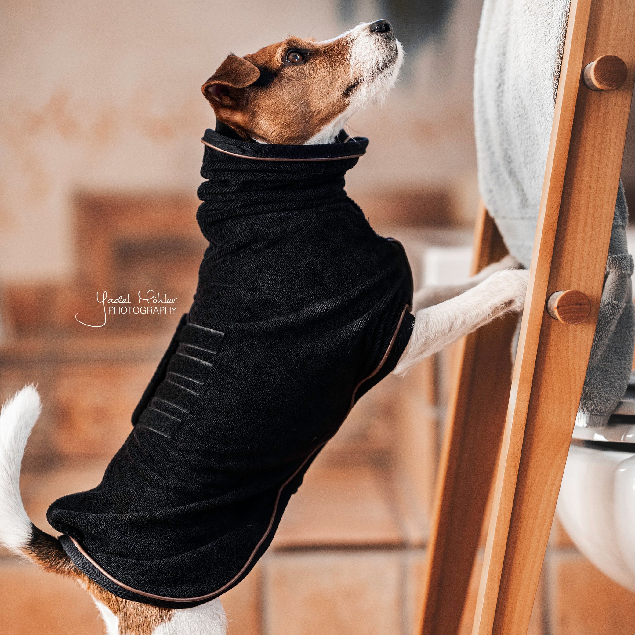 Hundemantel Towel 76