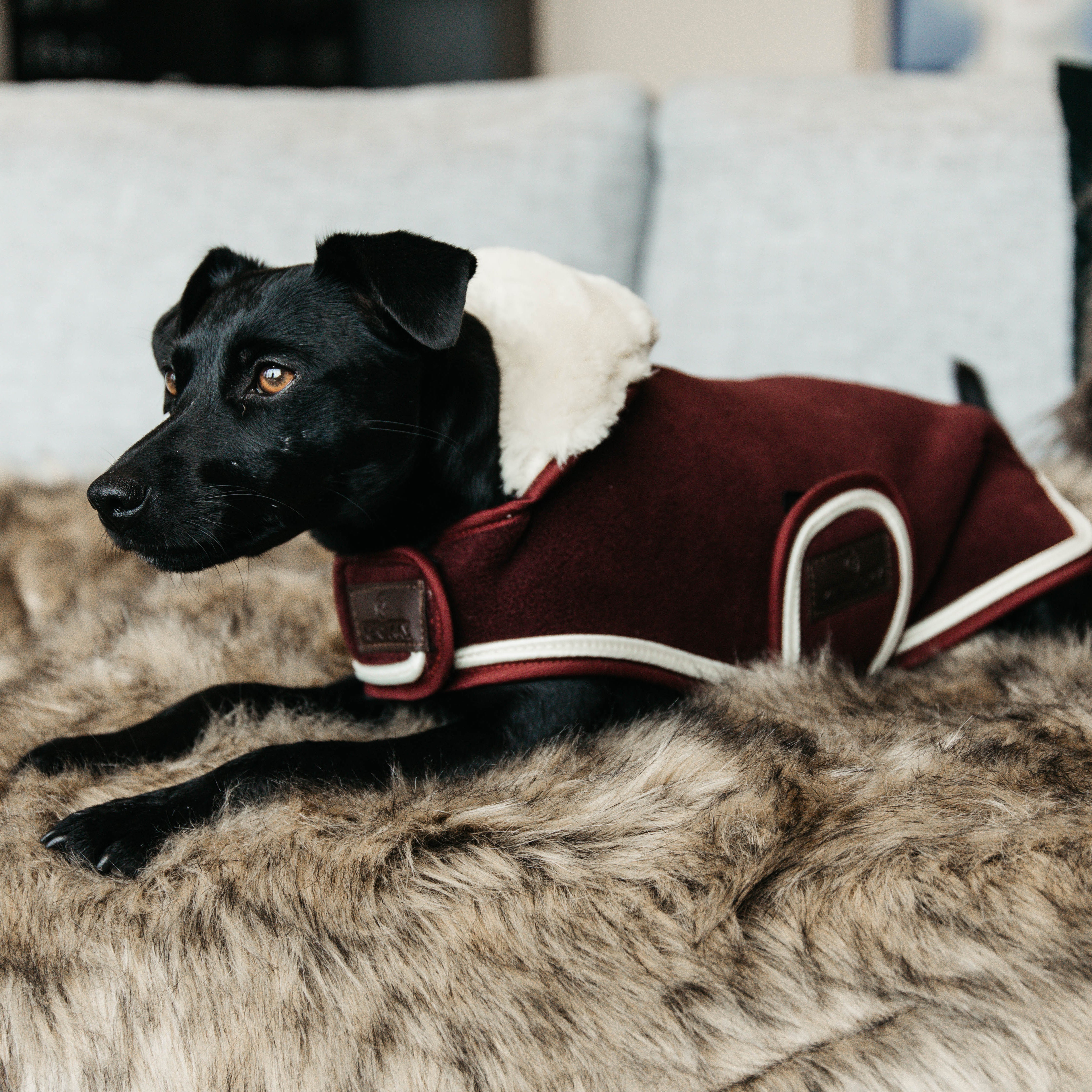 Hundemantel Schwer Fleece L56cm