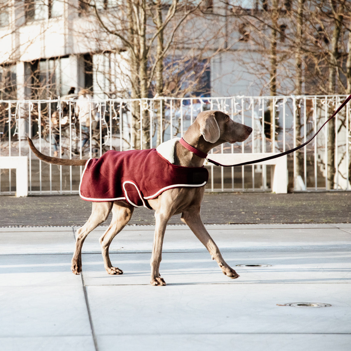 Hundemantel Schwer Fleece