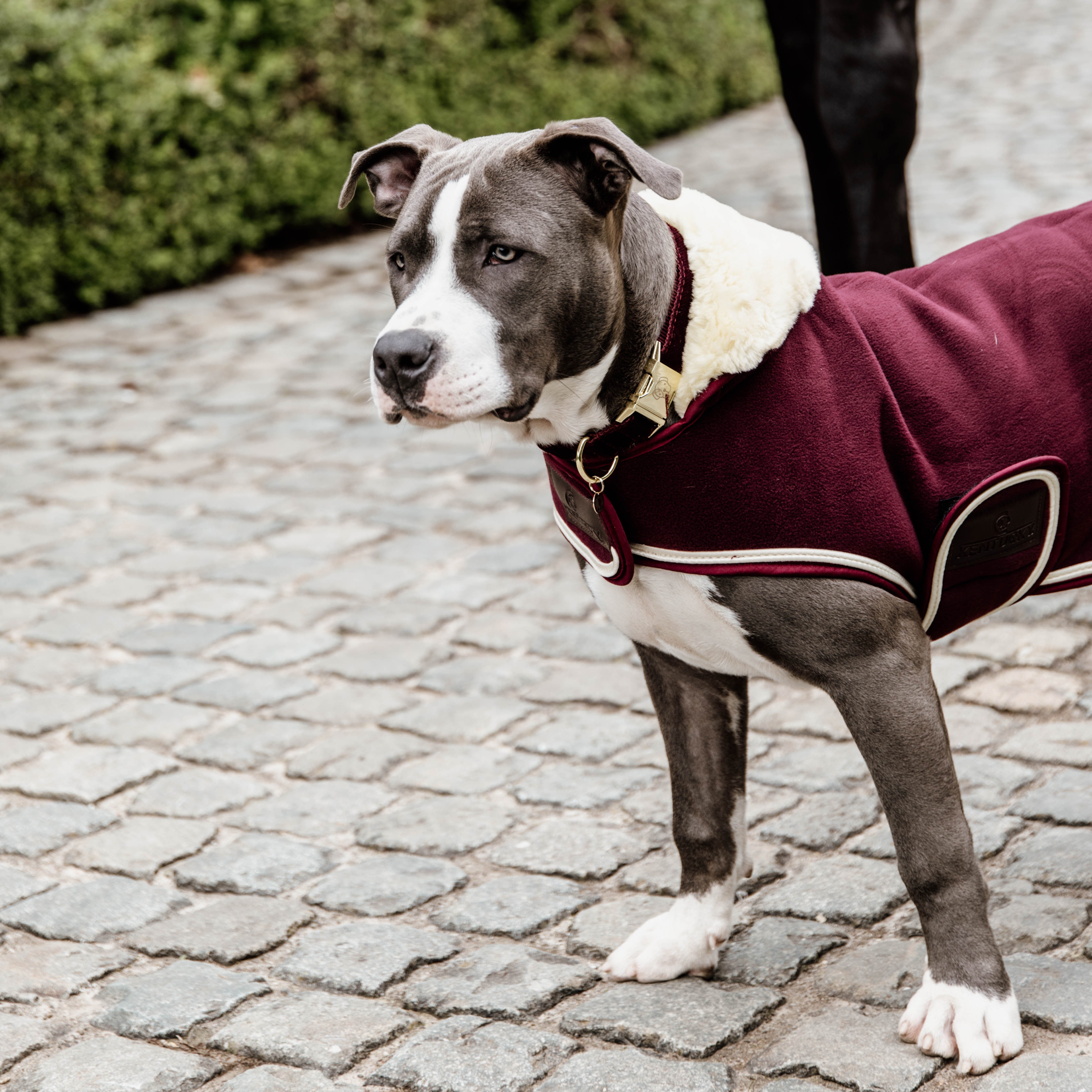 Hundemantel Schwer Fleece SM