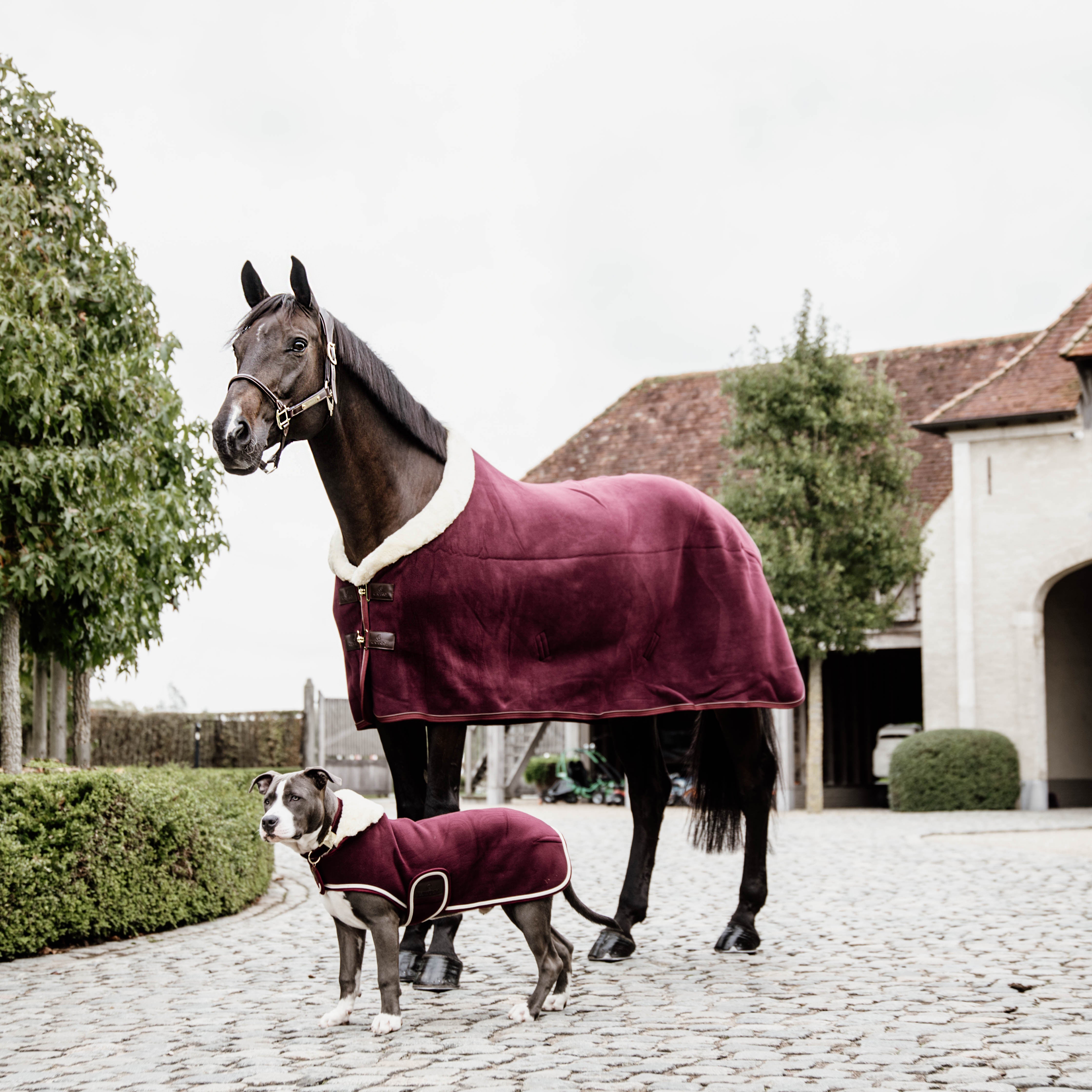Hundemantel Schwer Fleece L56cm
