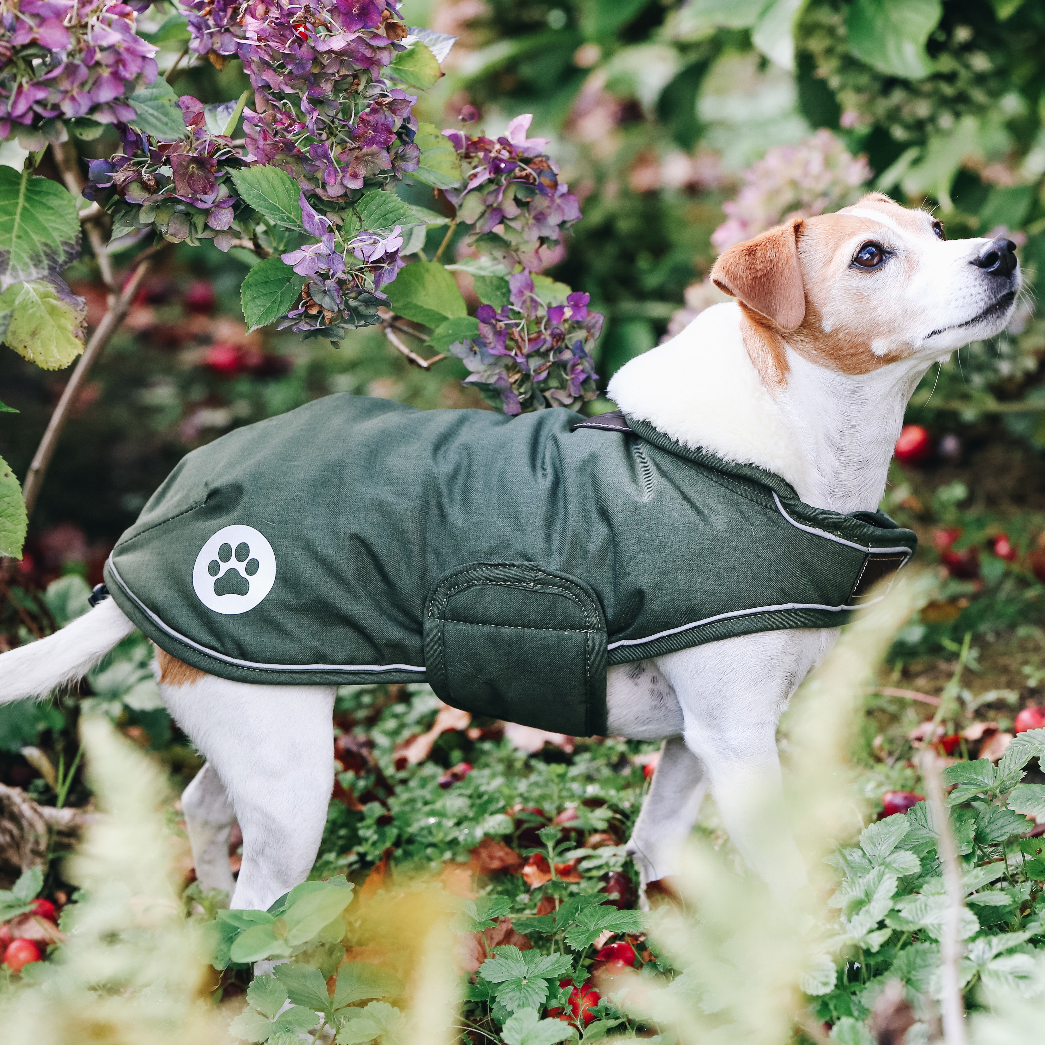 Hundemantel Wasserdicht