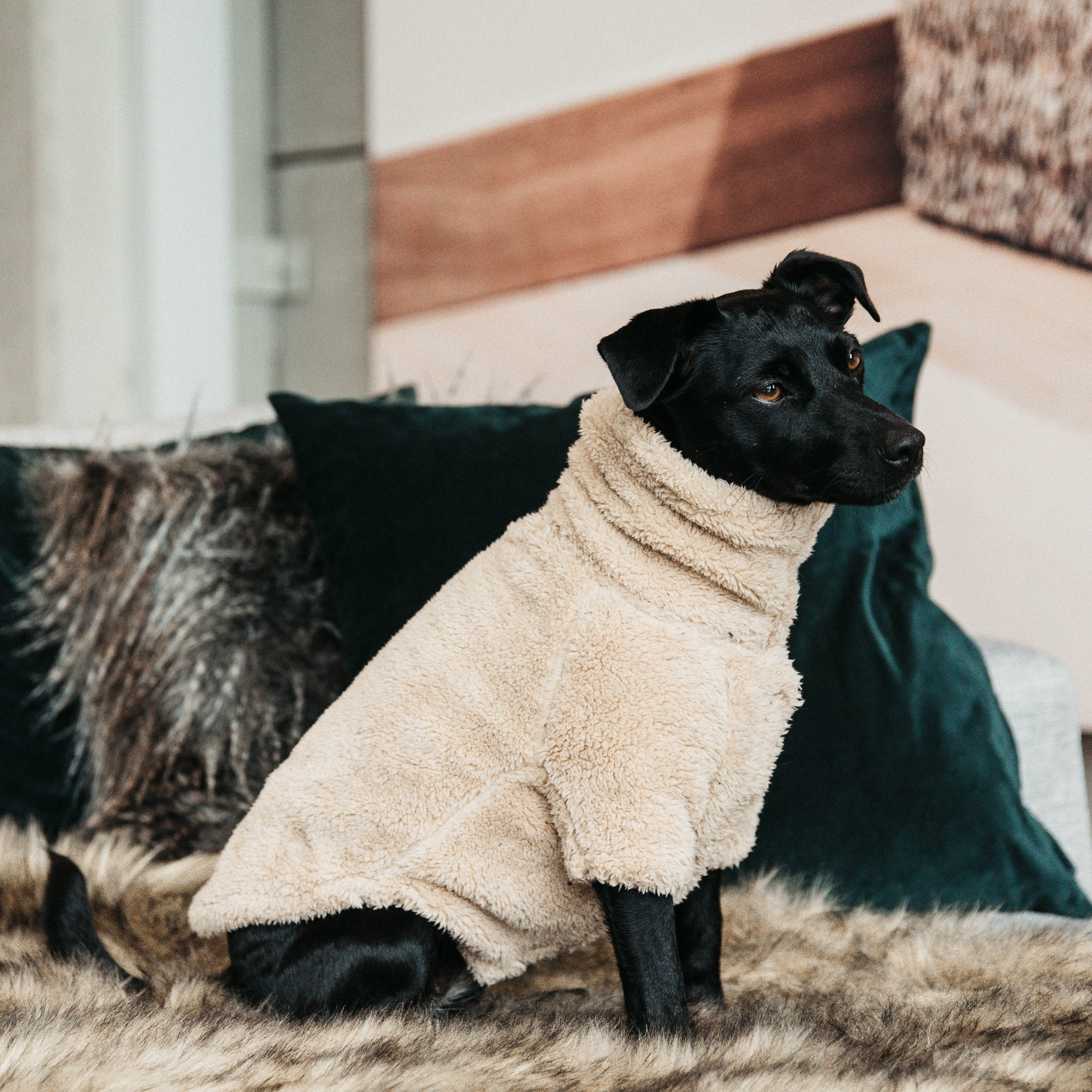 Dog Sweater Teddy Fleece SM