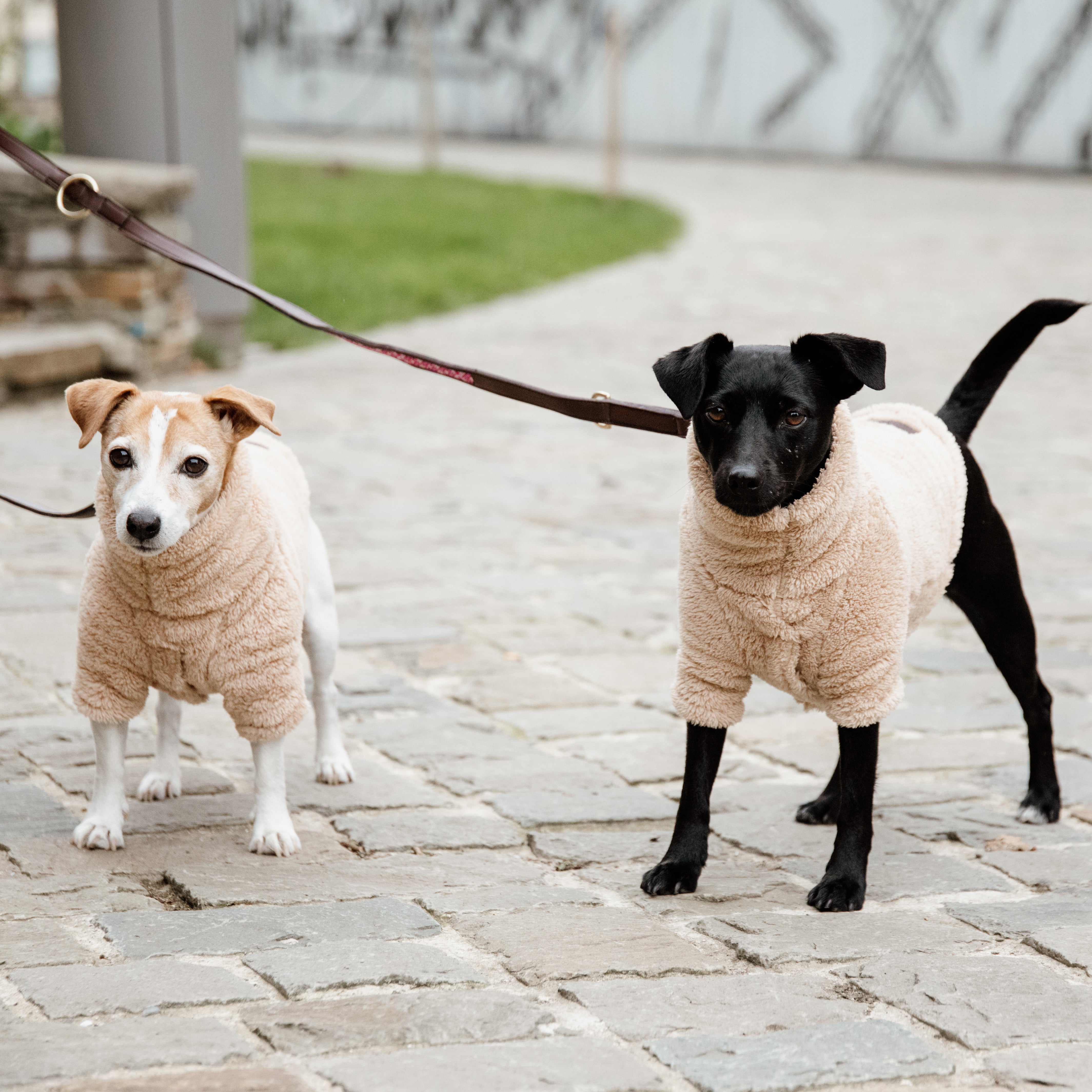 Dog Sweater Teddy Fleece SM
