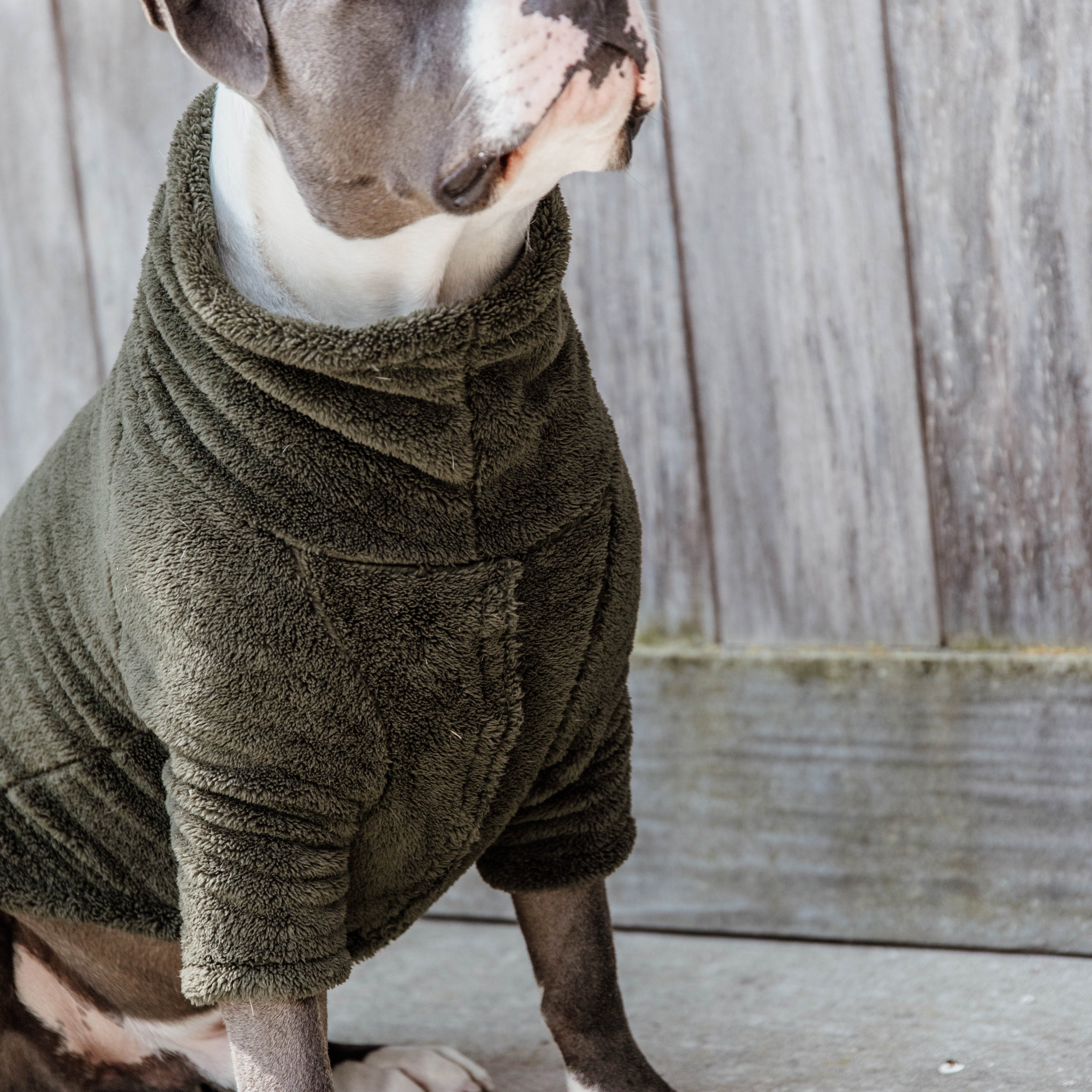 Dog Sweater Teddy