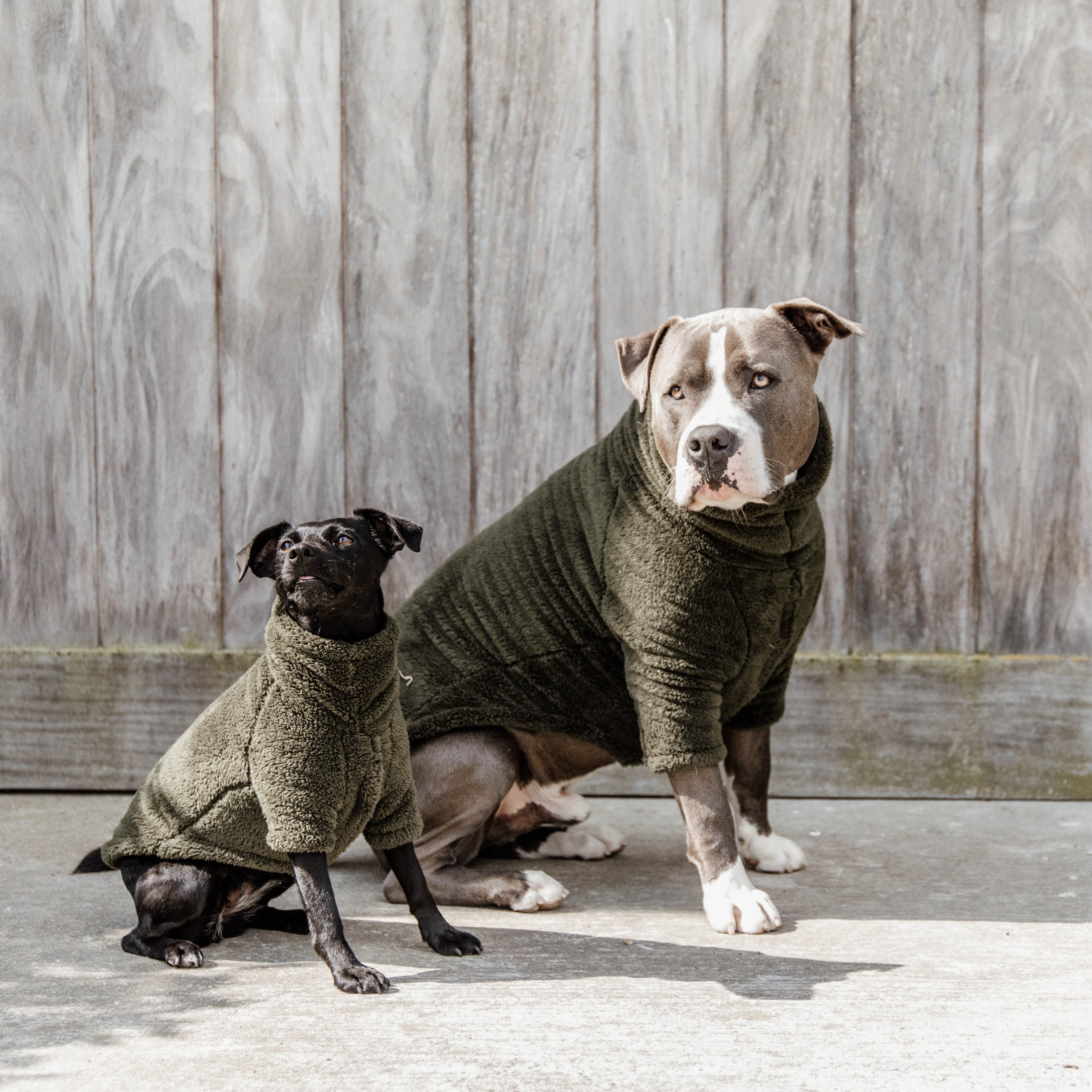 Dog Sweater Teddy