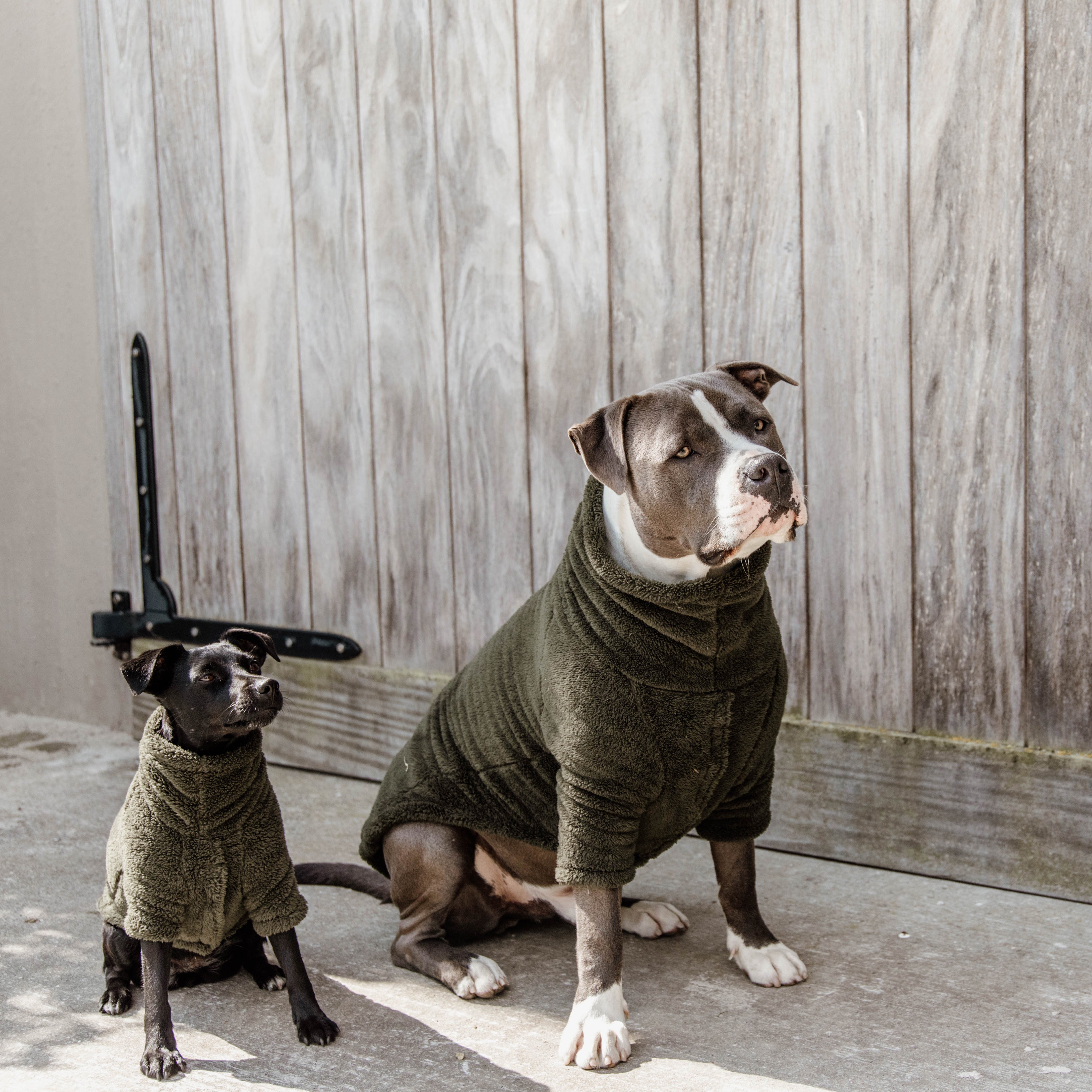 Dog Sweater Teddy