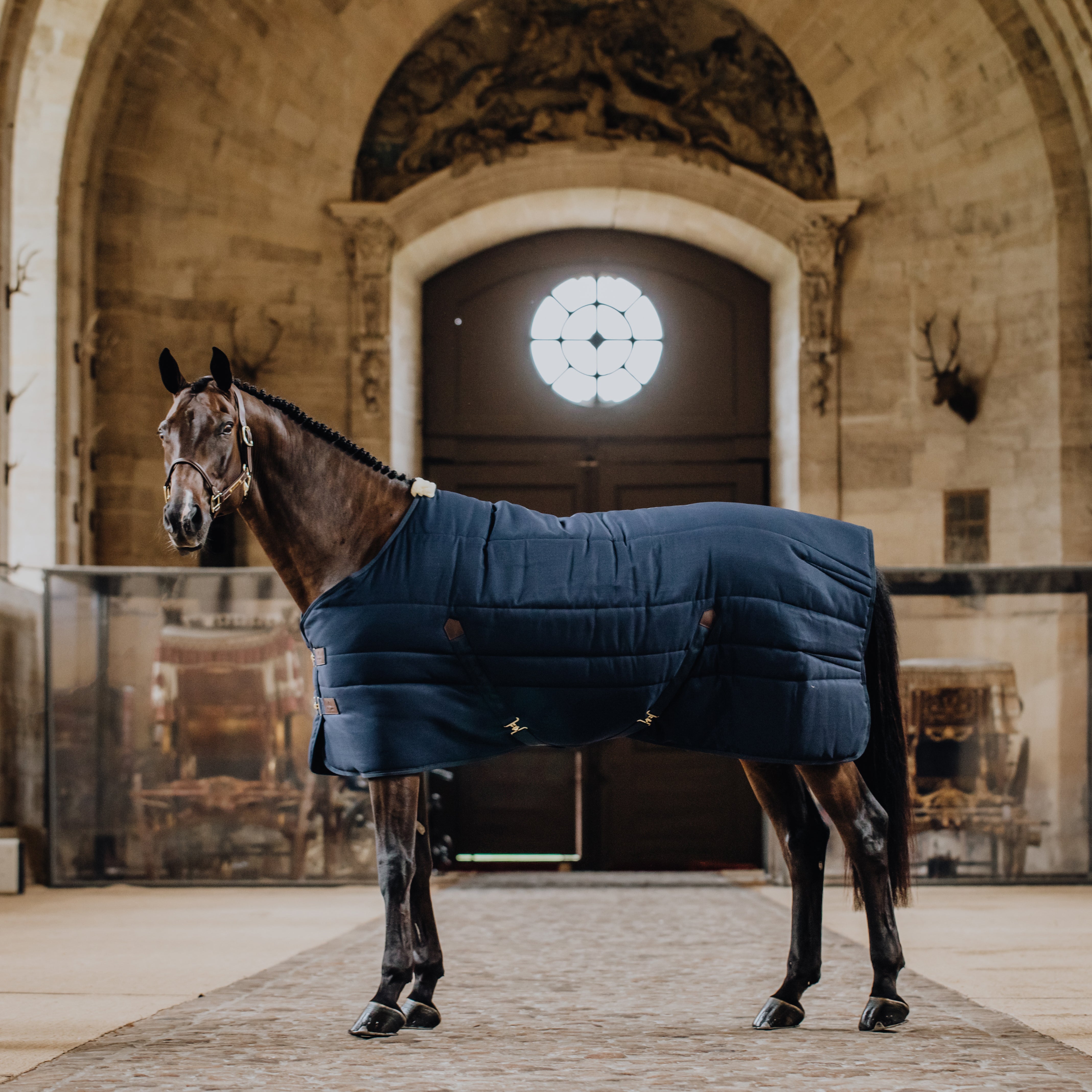 Stalldecke Classic 145