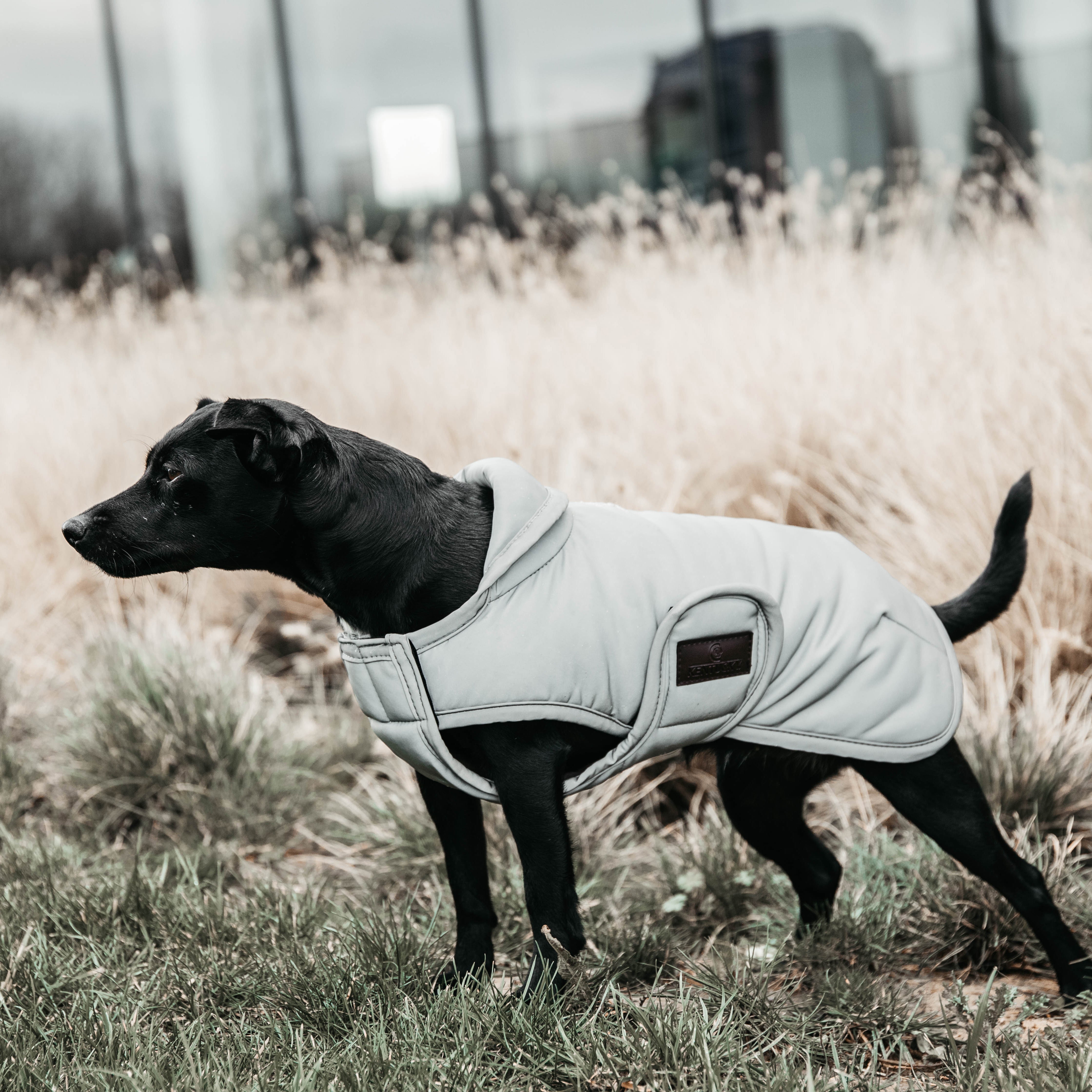 Hundemantel Reflektierend & Water Repellent Belly Cover Silver150g L56cm