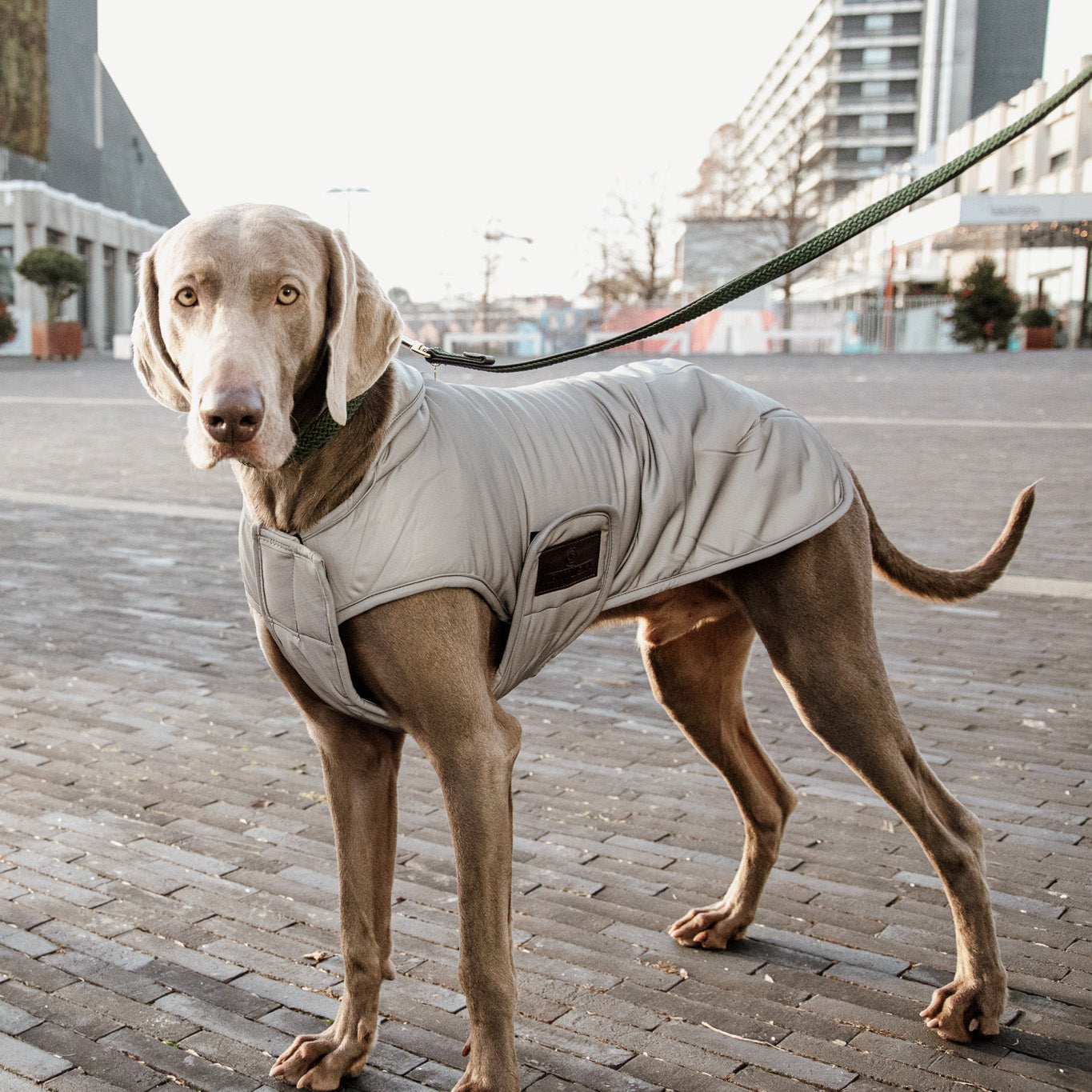 Hundemantel Reflektierend & Water Repellent Belly Cover Silver150g SM