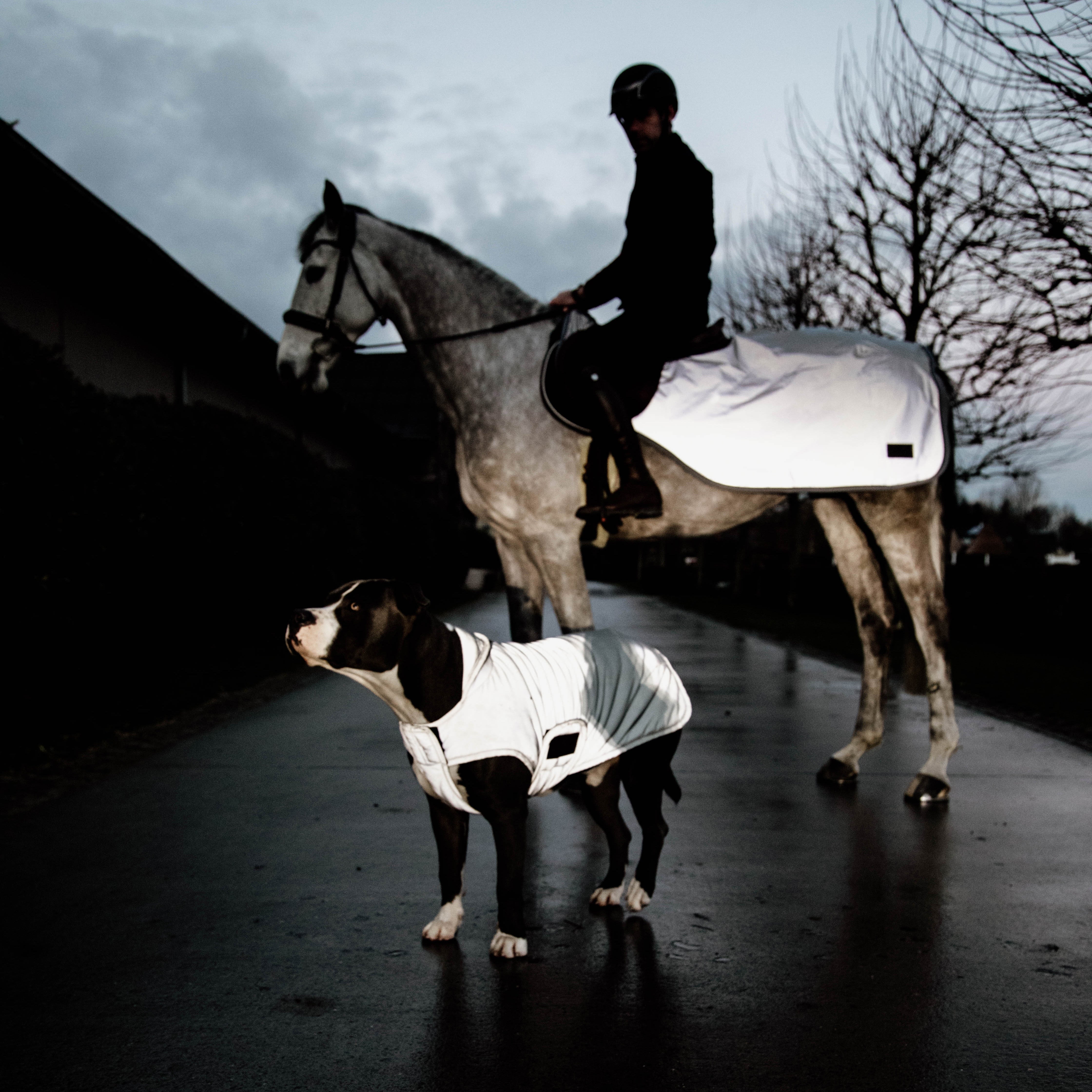 Hundemantel Reflektierend & Water Repellent Belly Cover Silver150g