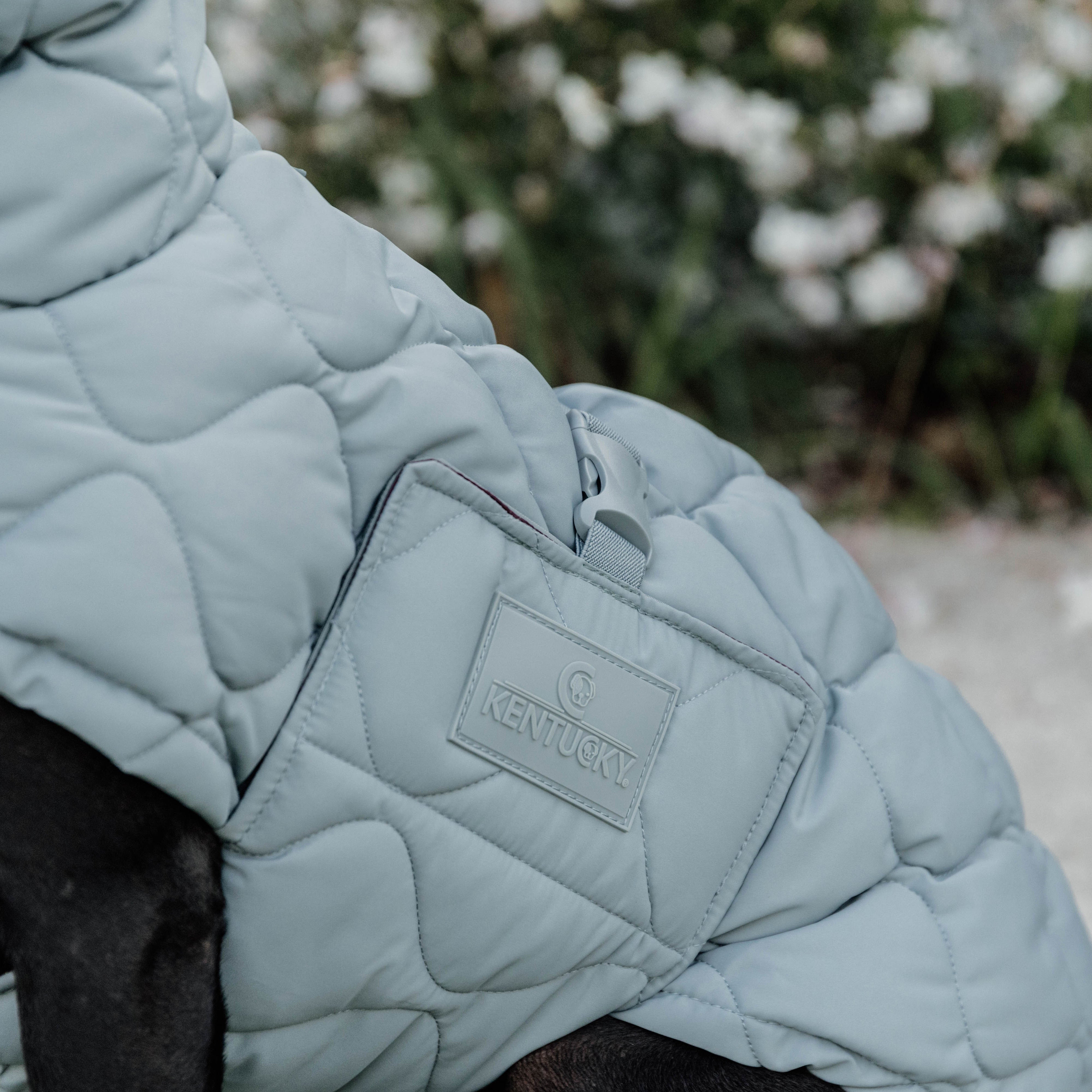 Hundemantel Winter Pina 23