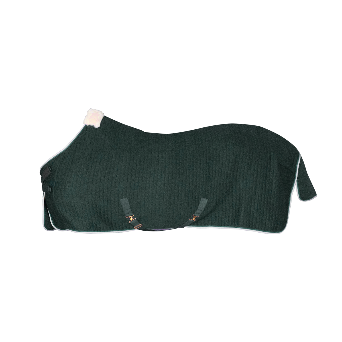 Abschwitzdecke PROTherm