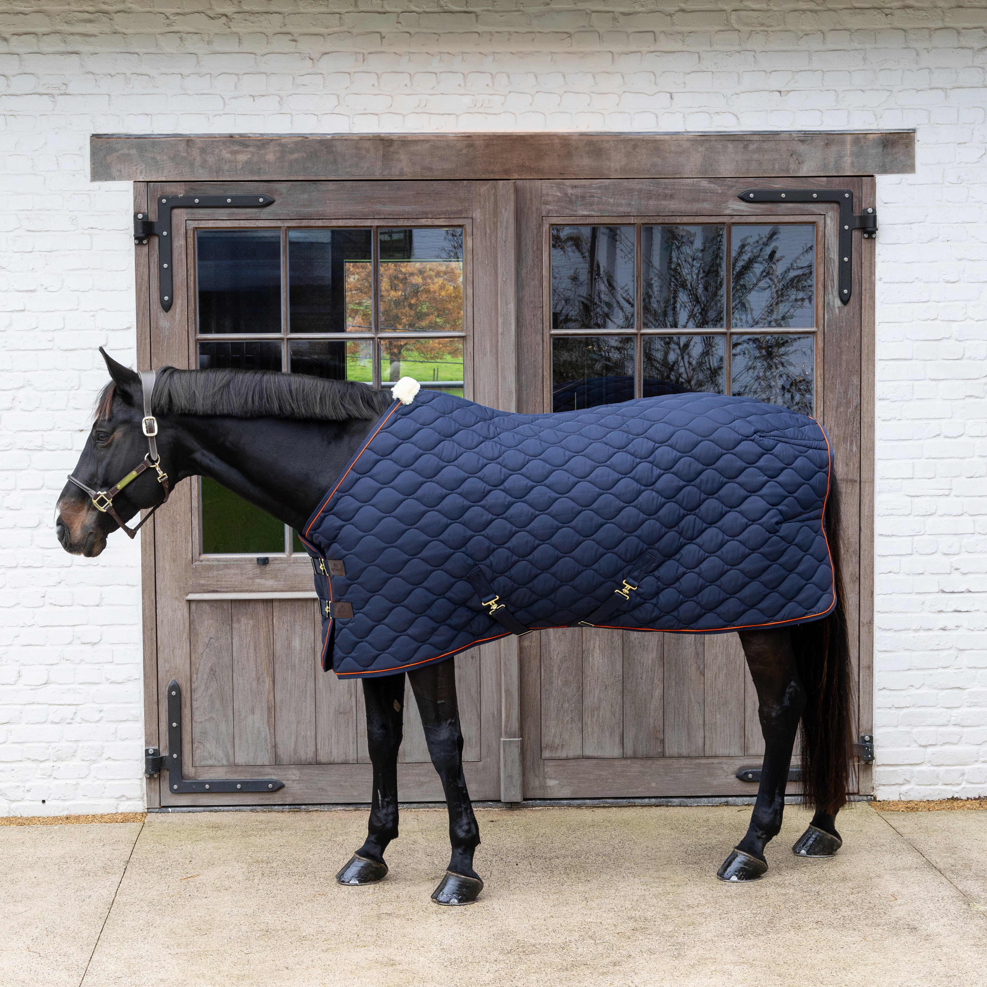 Stalldecke Welle