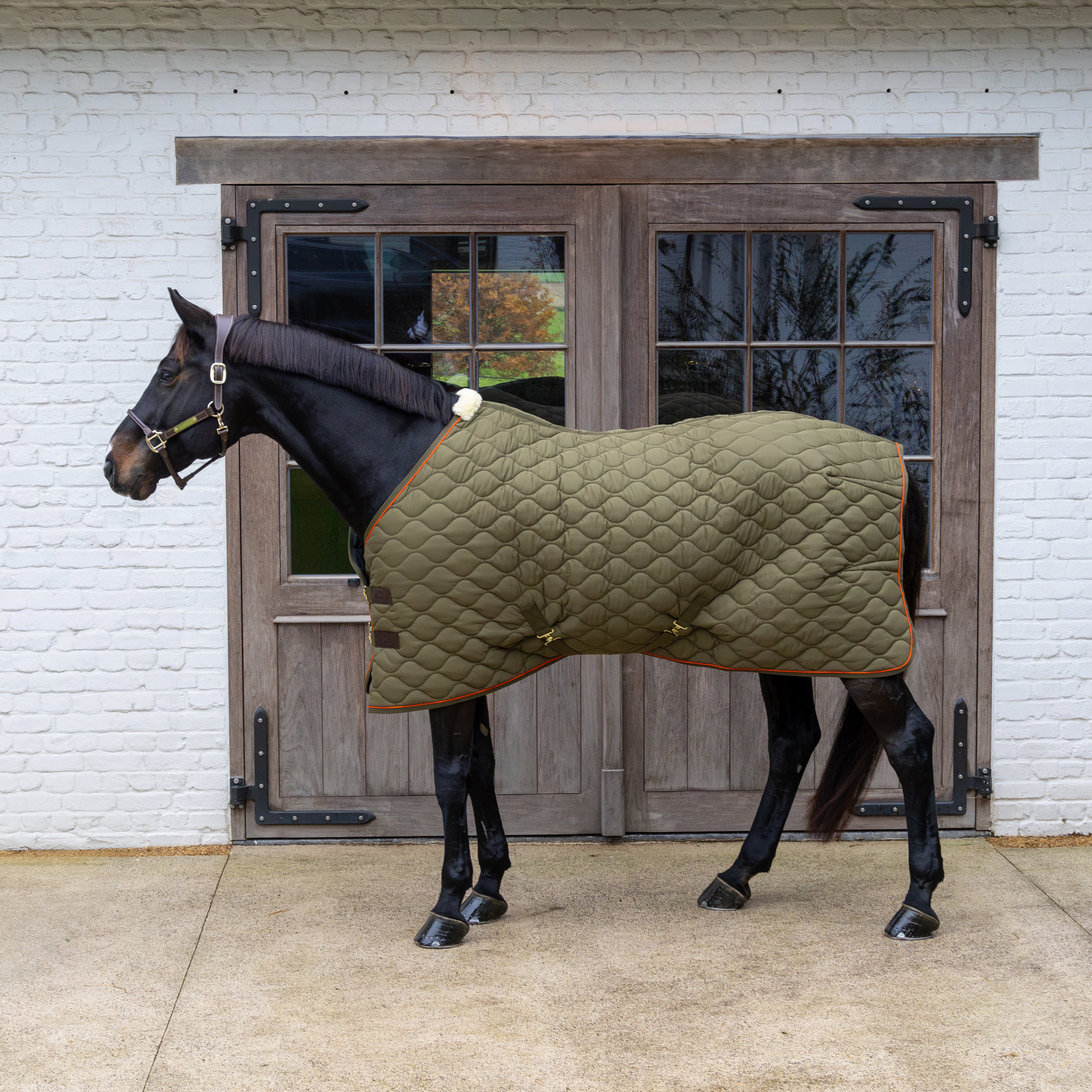 Stalldecke Welle