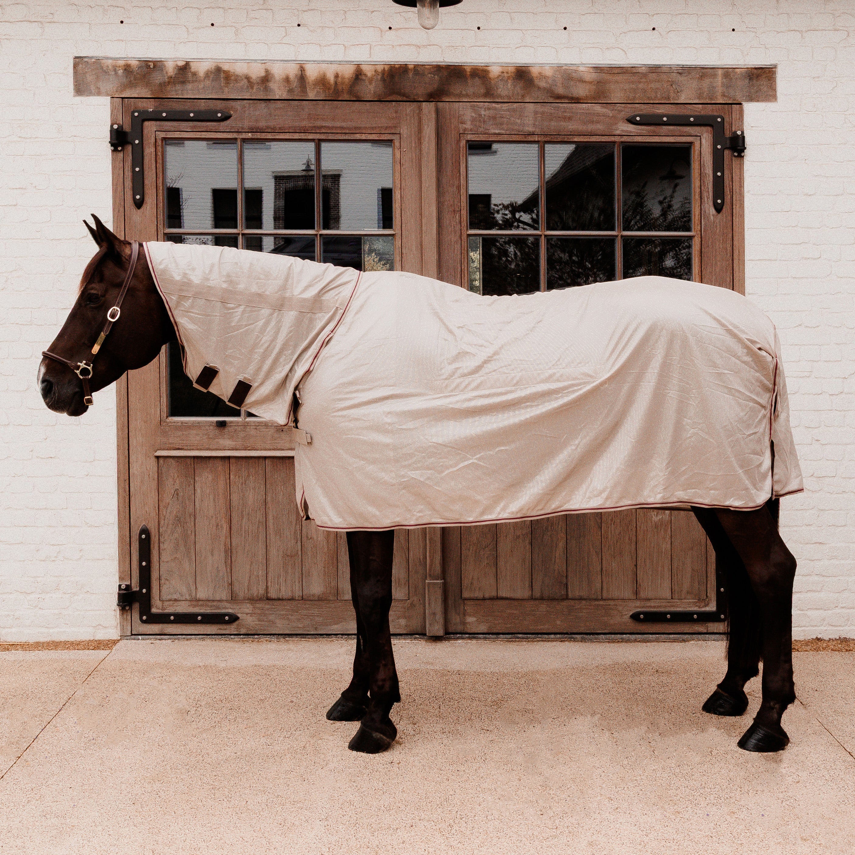 Mesh Fliegendecke Komfort Classic Hals & Belly Cover