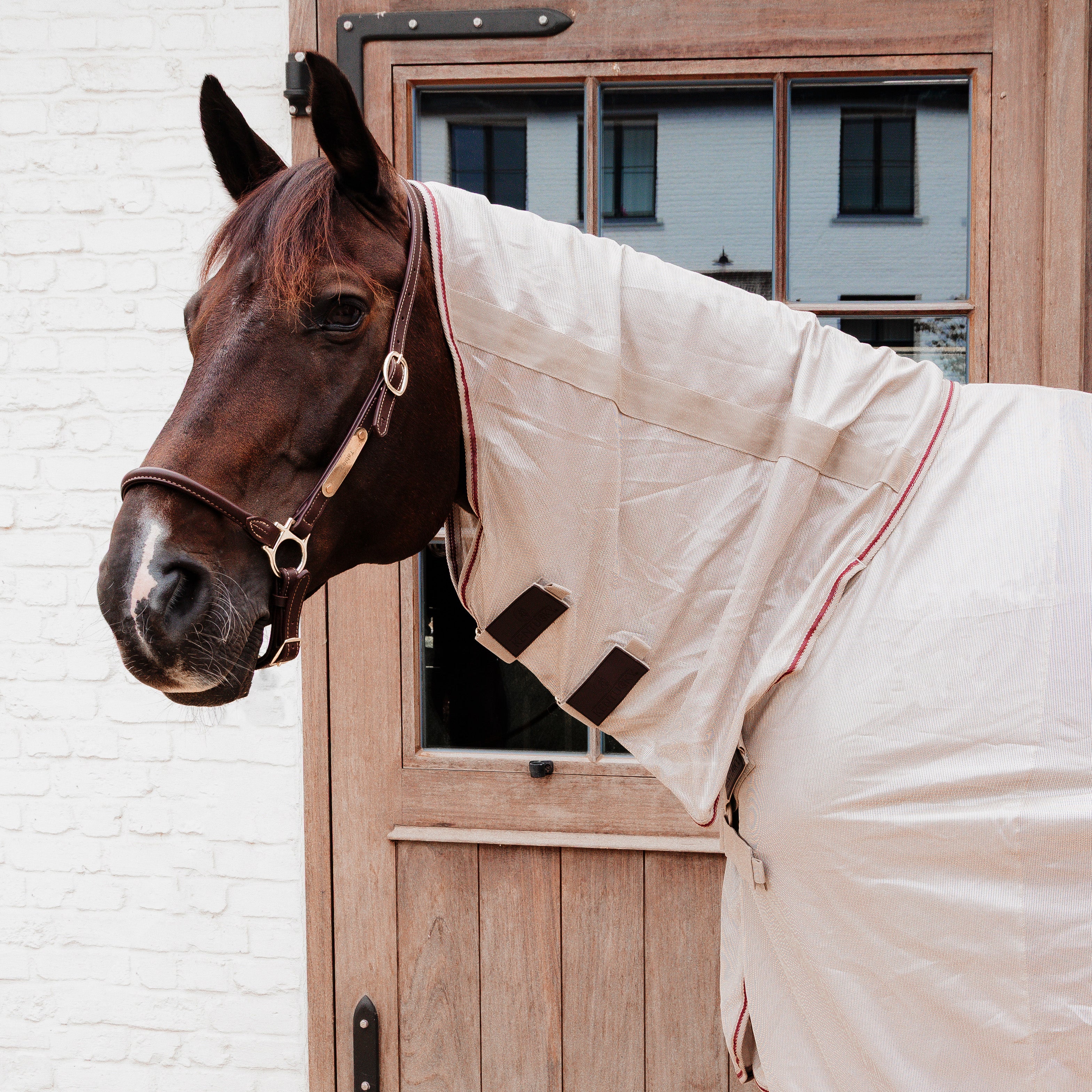 Mesh Fliegendecke Komfort Classic Hals & Belly Cover