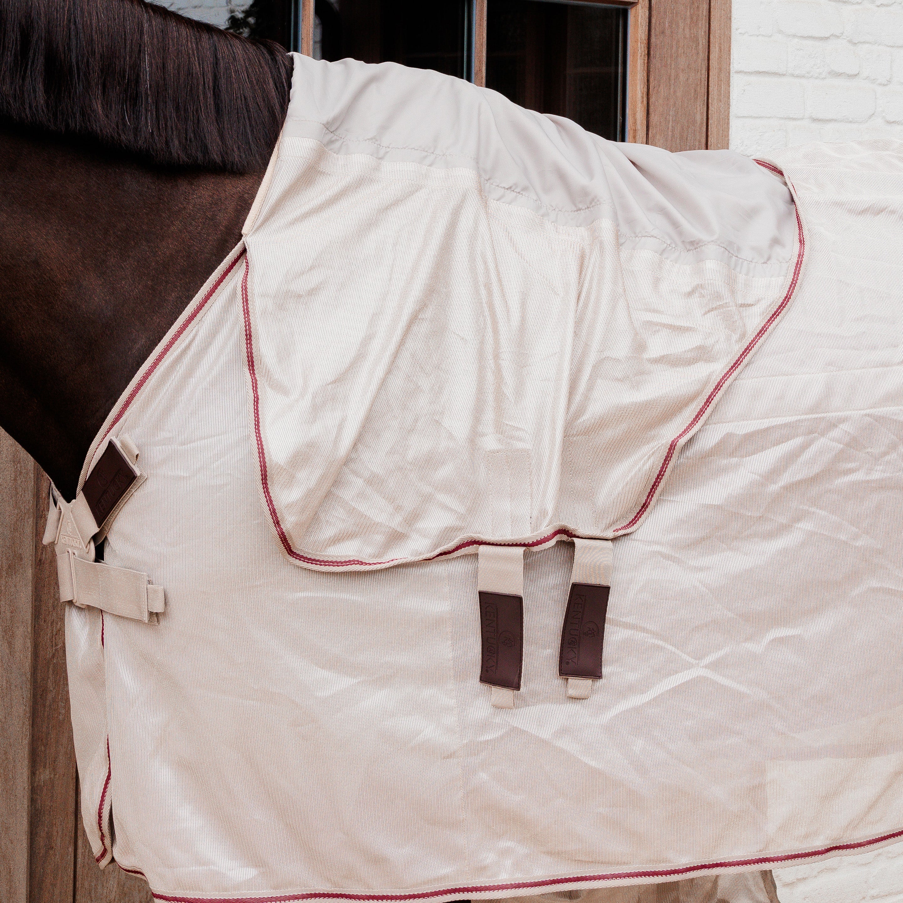 Mesh Fliegendecke Komfort Classic Hals & Belly Cover