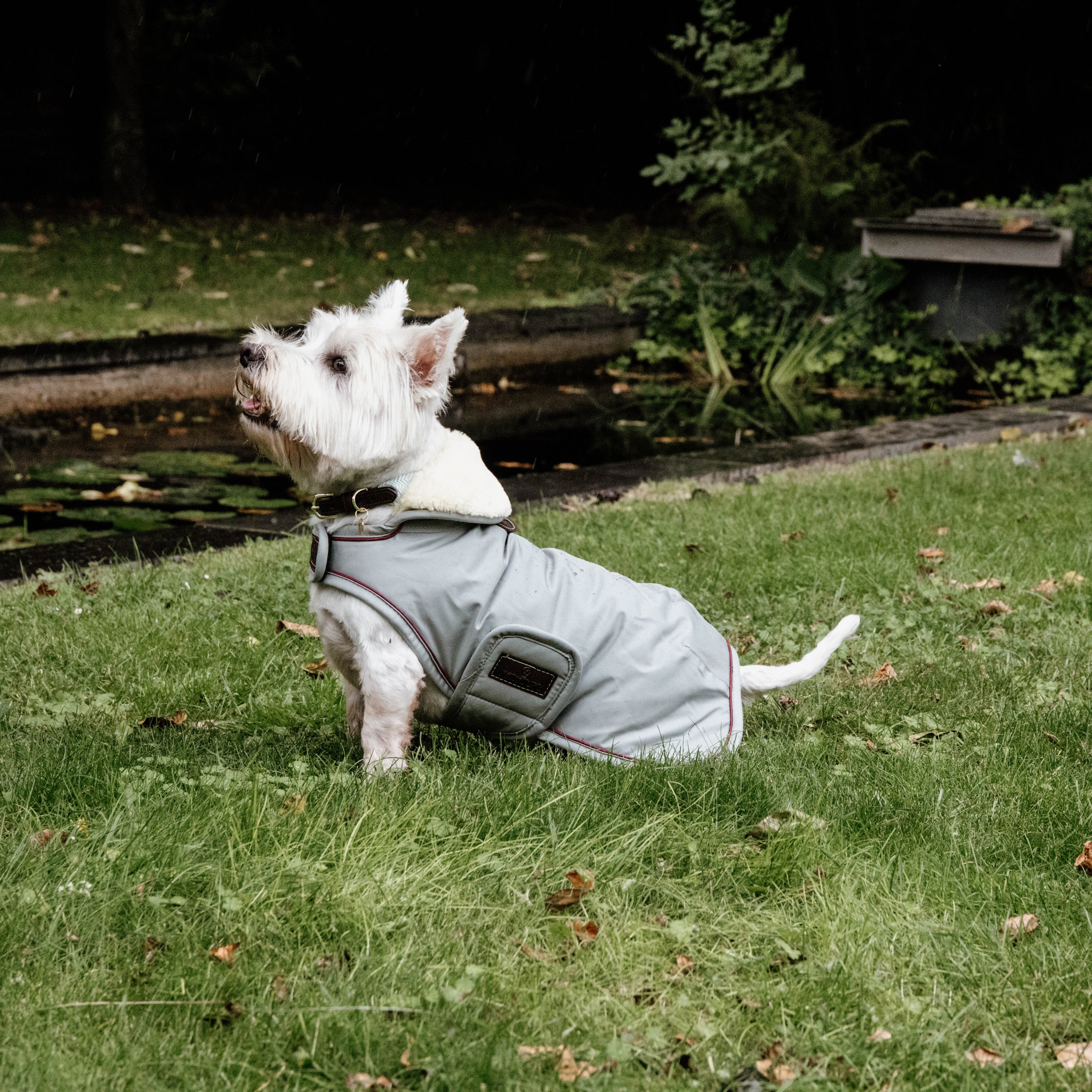 Hundemantel Wasserdicht SM