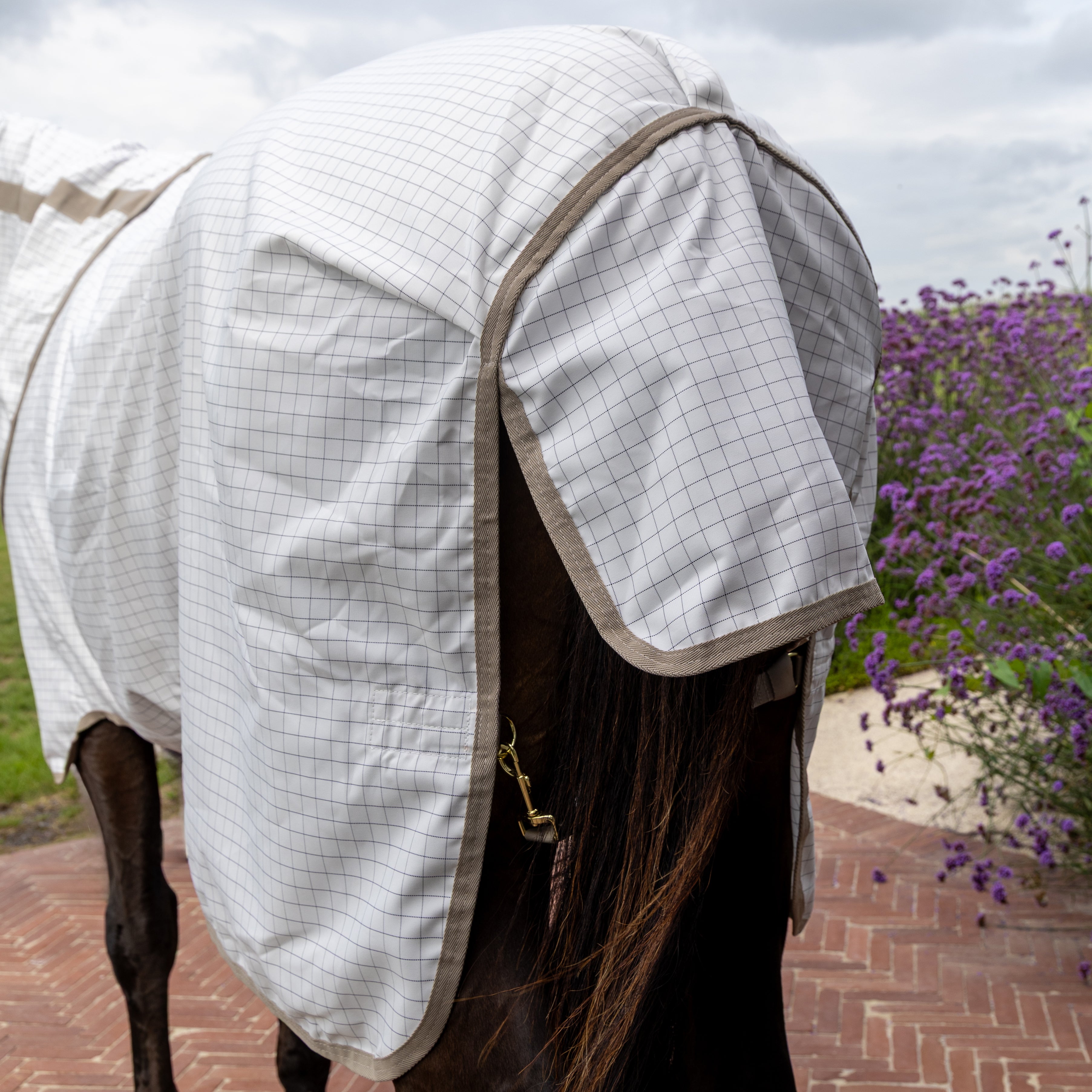 Sweet Itch Fliegen & Sommerdecke Komfort