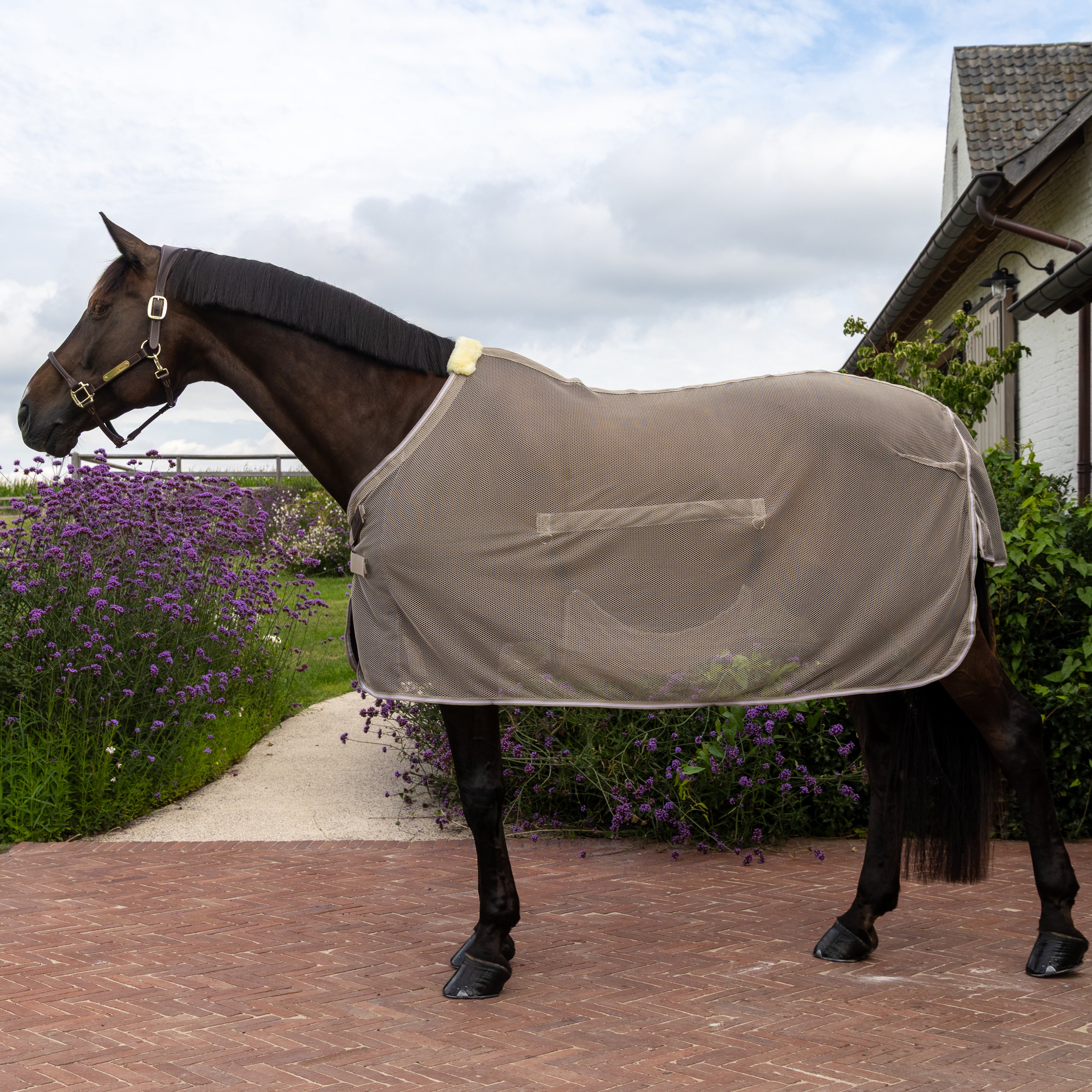 Fliegendecke Belly Cover Komfort