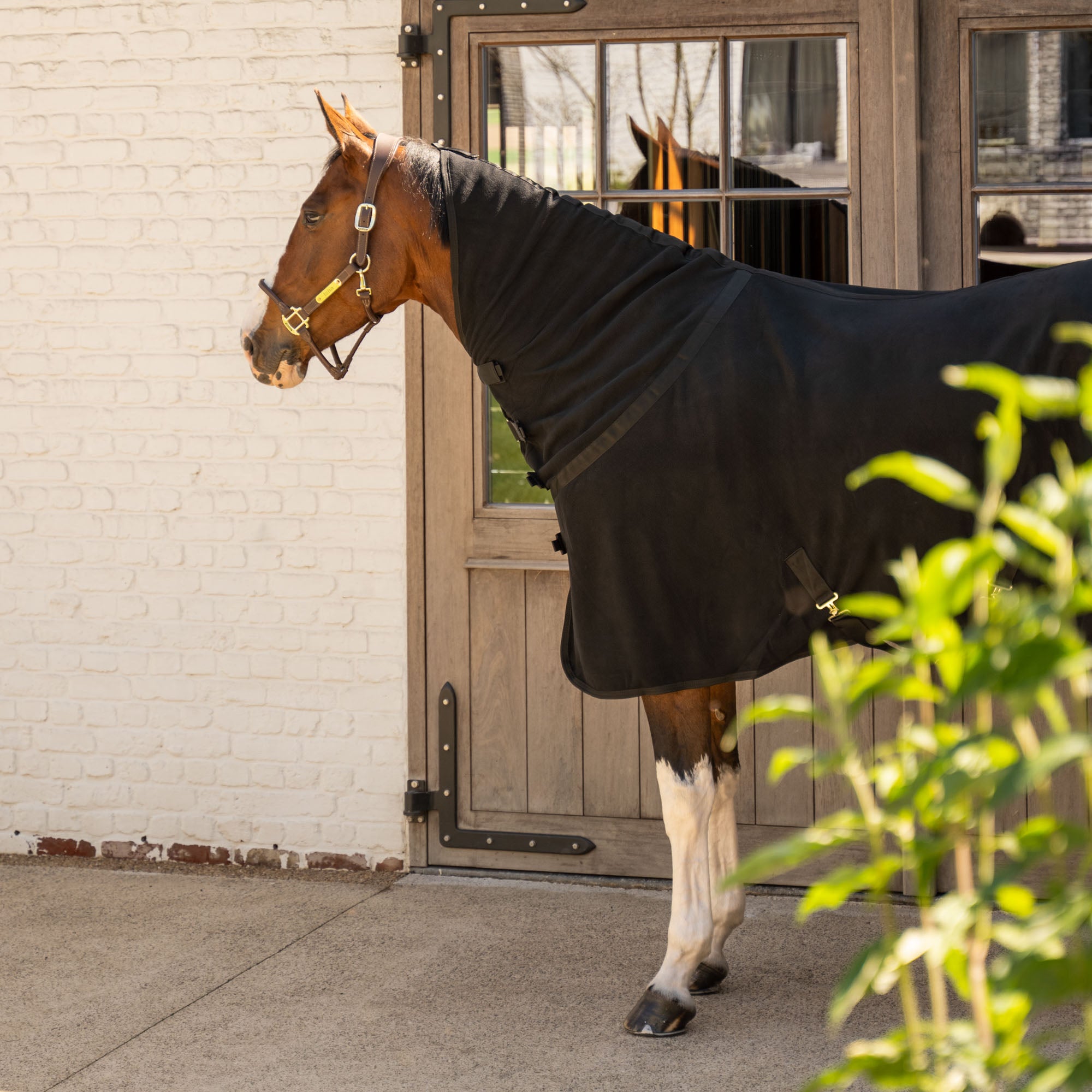 Fleece Decke Hals