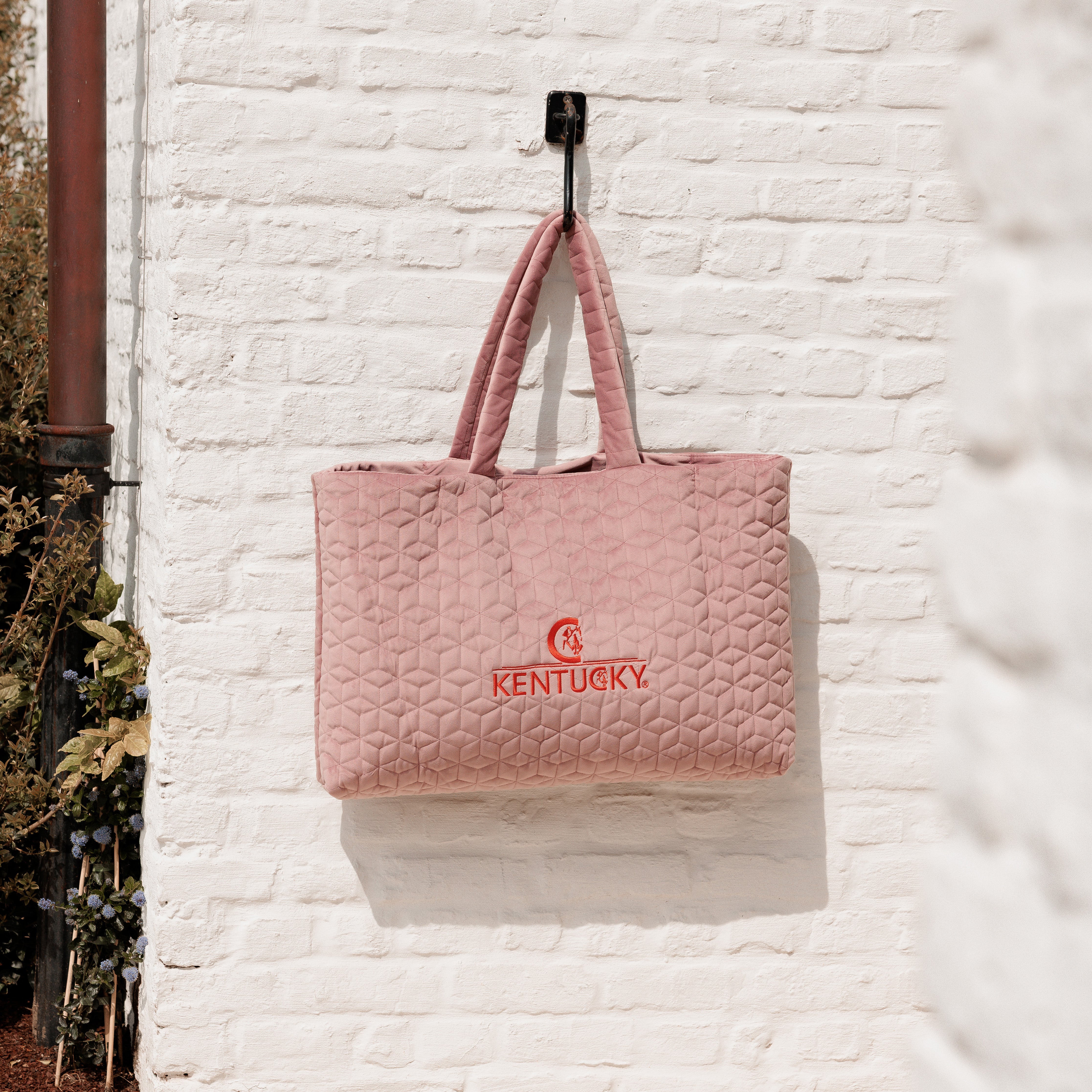 Samt Tasche Kentucky Logo