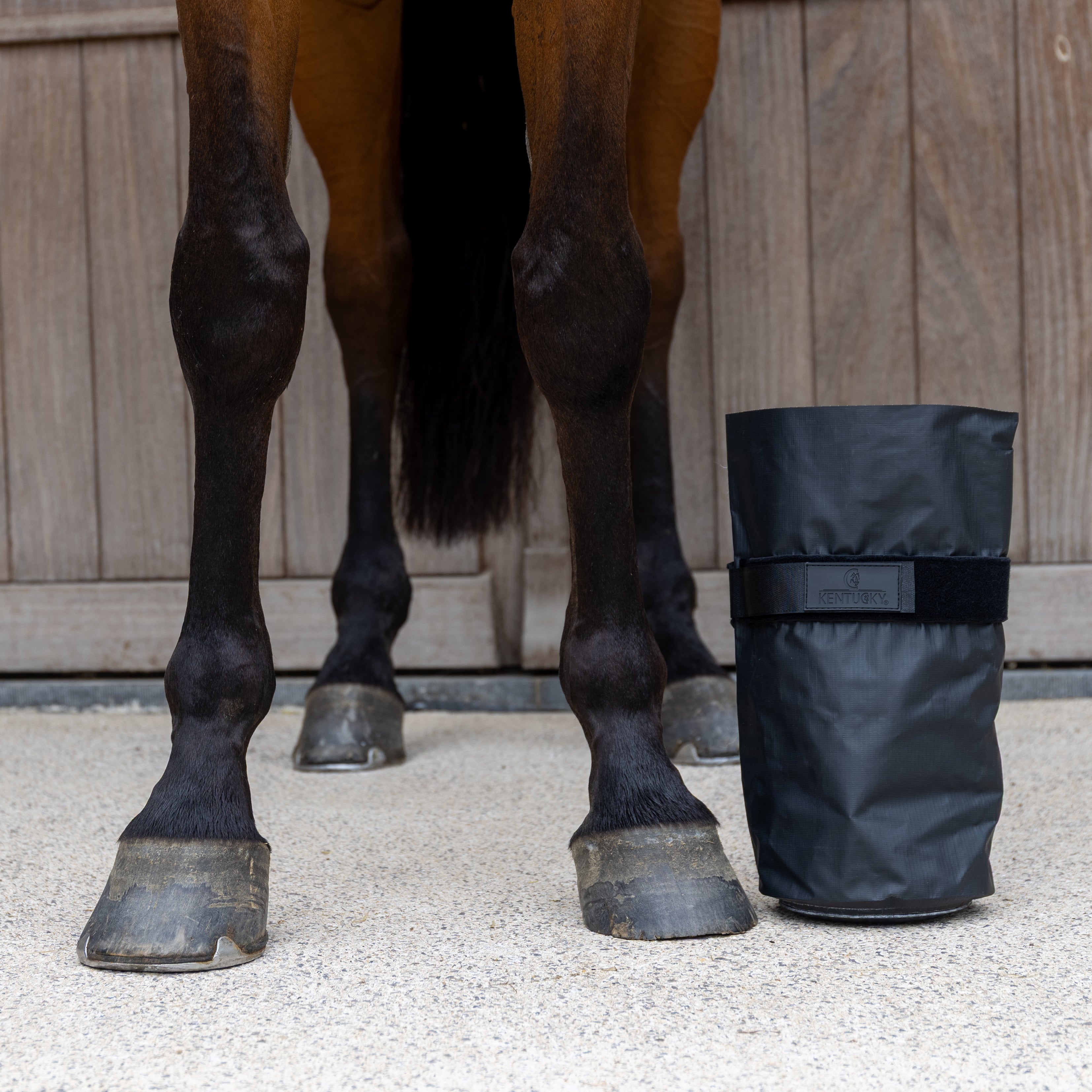 Hoof Boot Medical & Ice Gamaschen Of 2