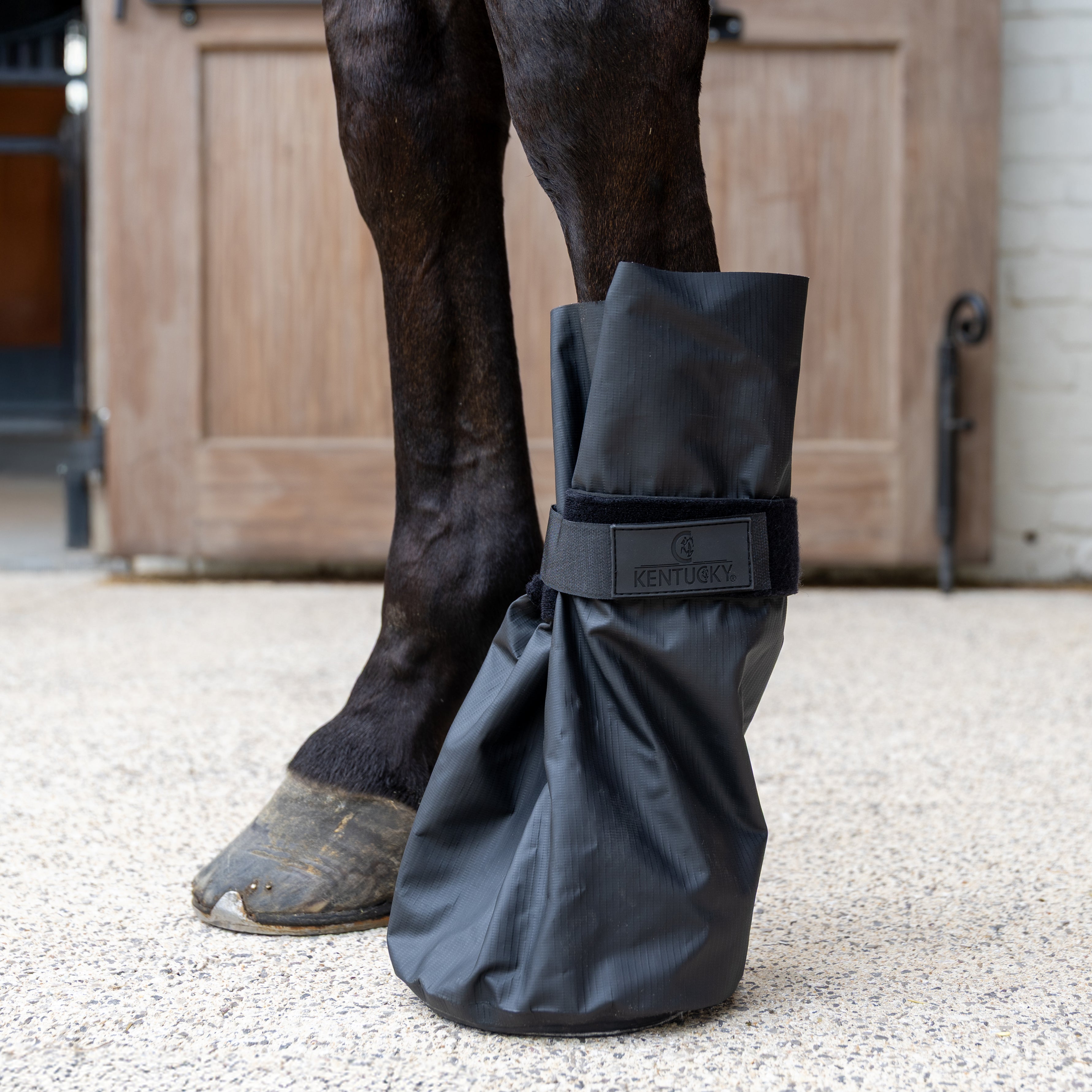 Hoof Boot Medical & Ice Gamaschen Of 2