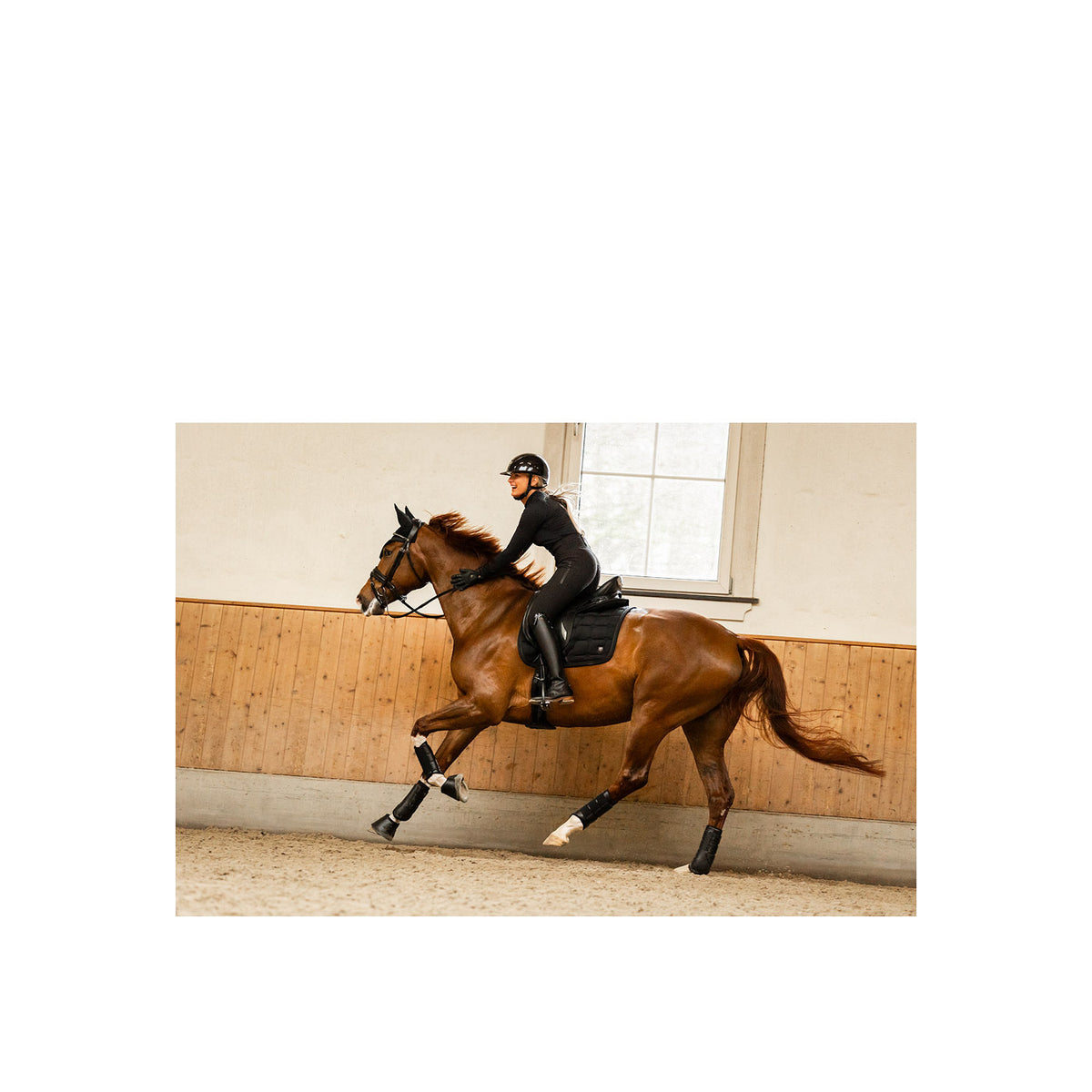 BR CLX Reitlegging Damen Silikonbesatz