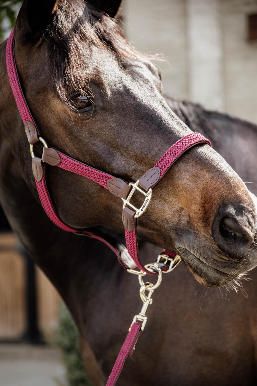 Halfter Plaited Nylon - Kentucky Horsewear