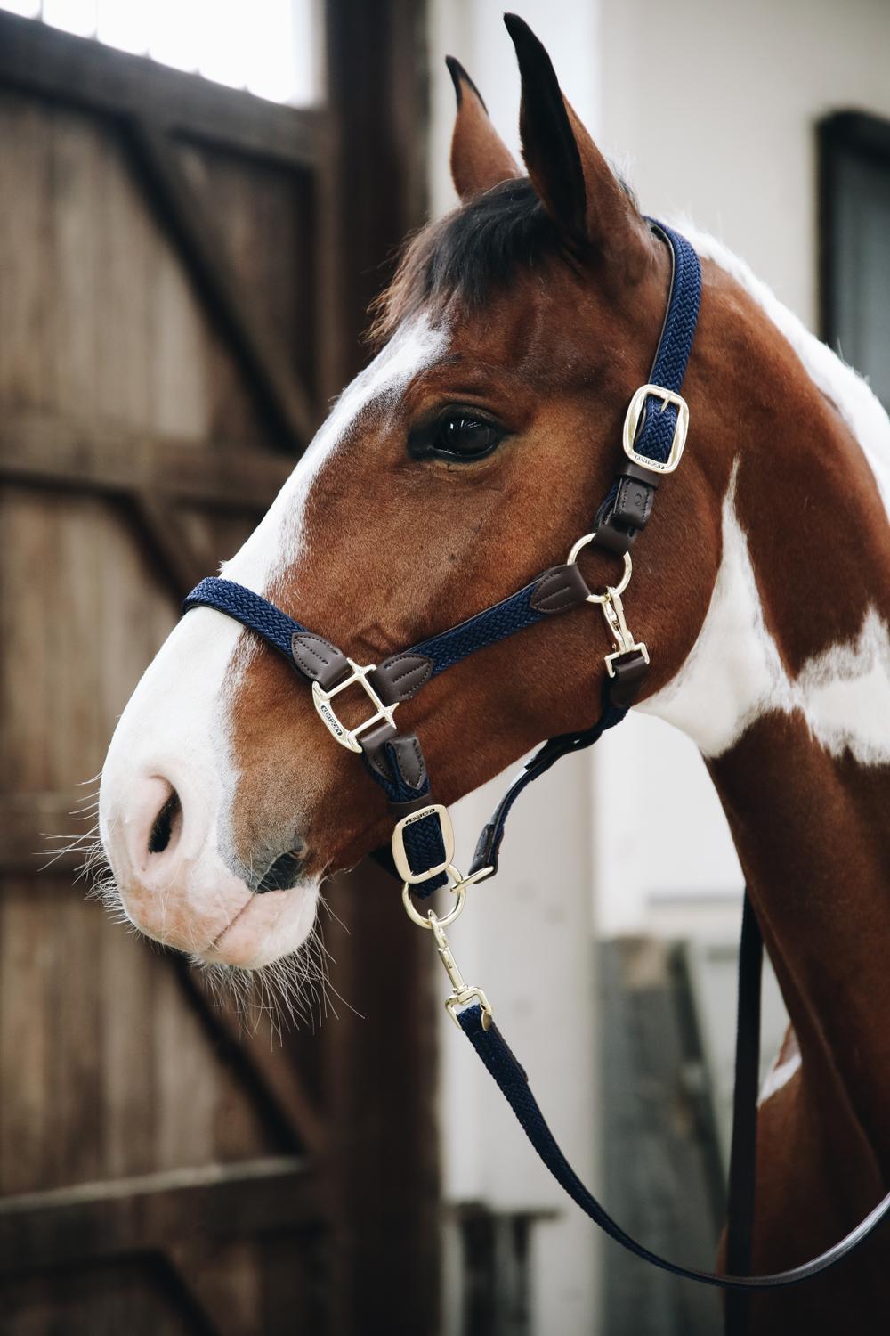 Leine Plaited Nylon - Kentucky Horsewear