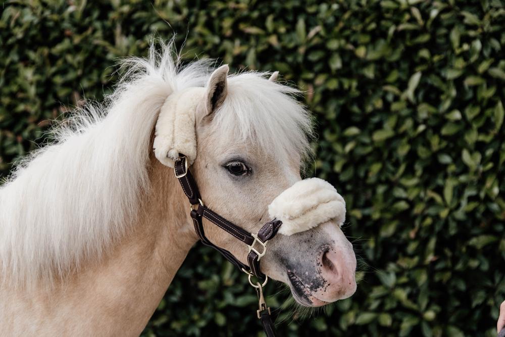 Lederhalfter Mit Fell - Kentucky Horsewear