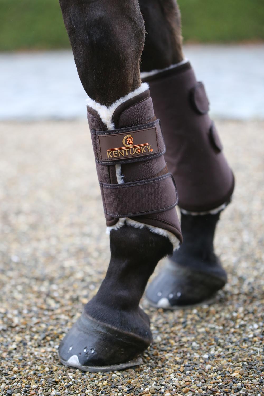 Brushing Boots Solimbra Front - Kentucky Horsewear