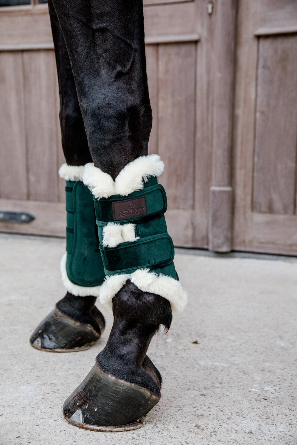 Brushing Boots Velvet Contrast - Kentucky Horsewear
