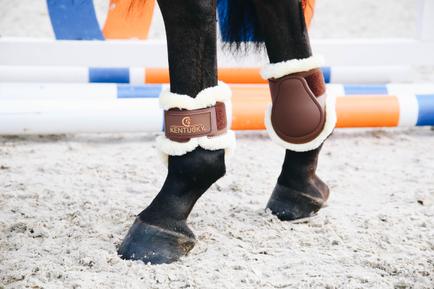 Streichkappe Young Horse