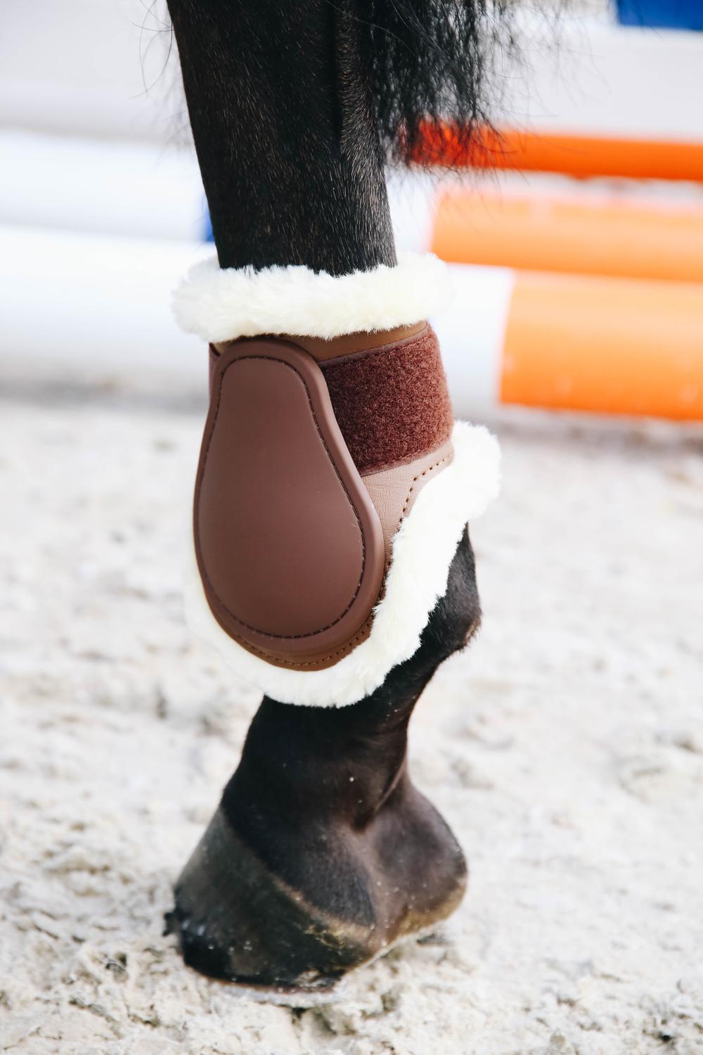 Streichkappe Young Horse - Kentucky Horsewear