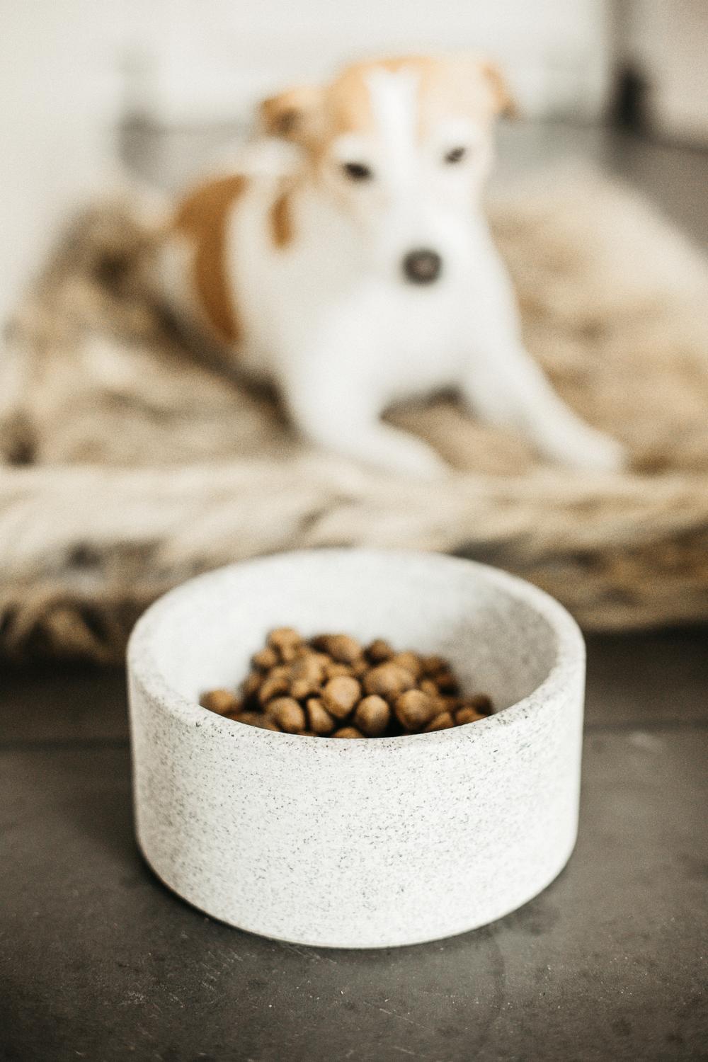 Futternapf Granit - Kentucky Dogwear