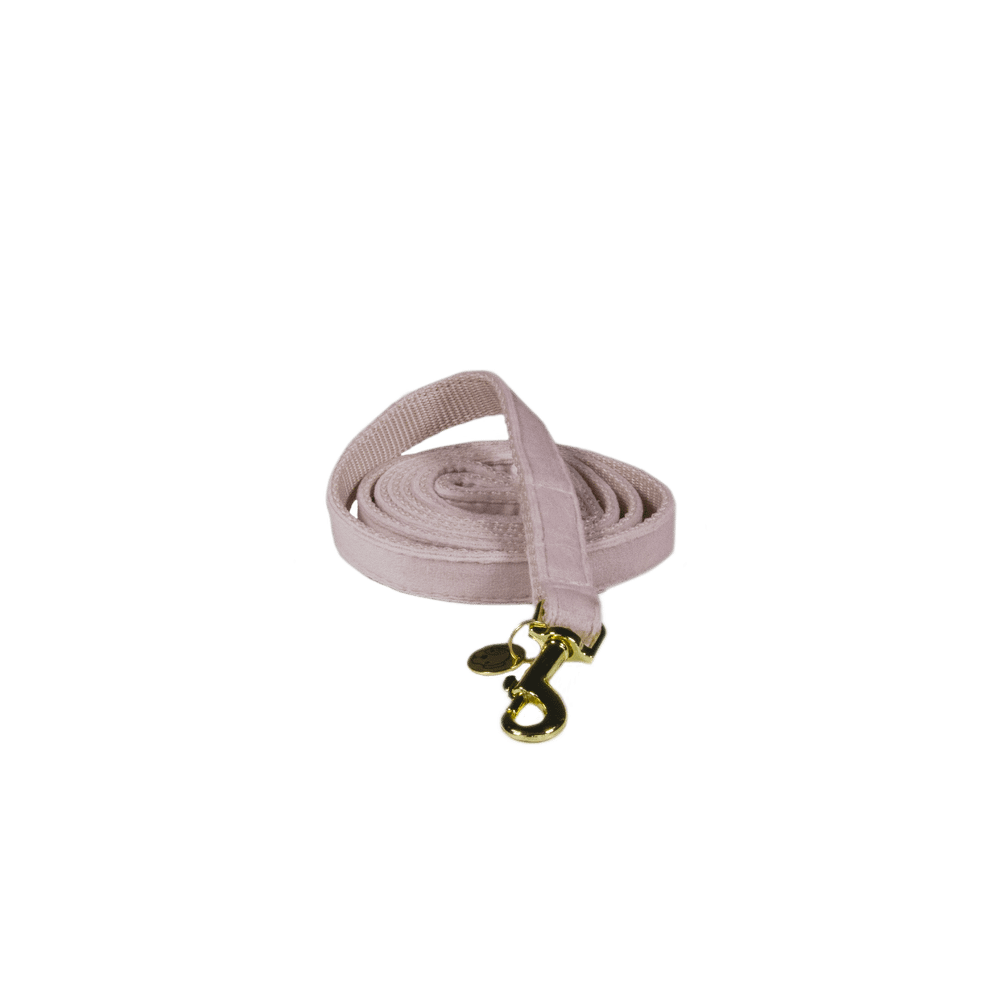 Hundeleine Velvet 120 cm - Kentucky Dogwear