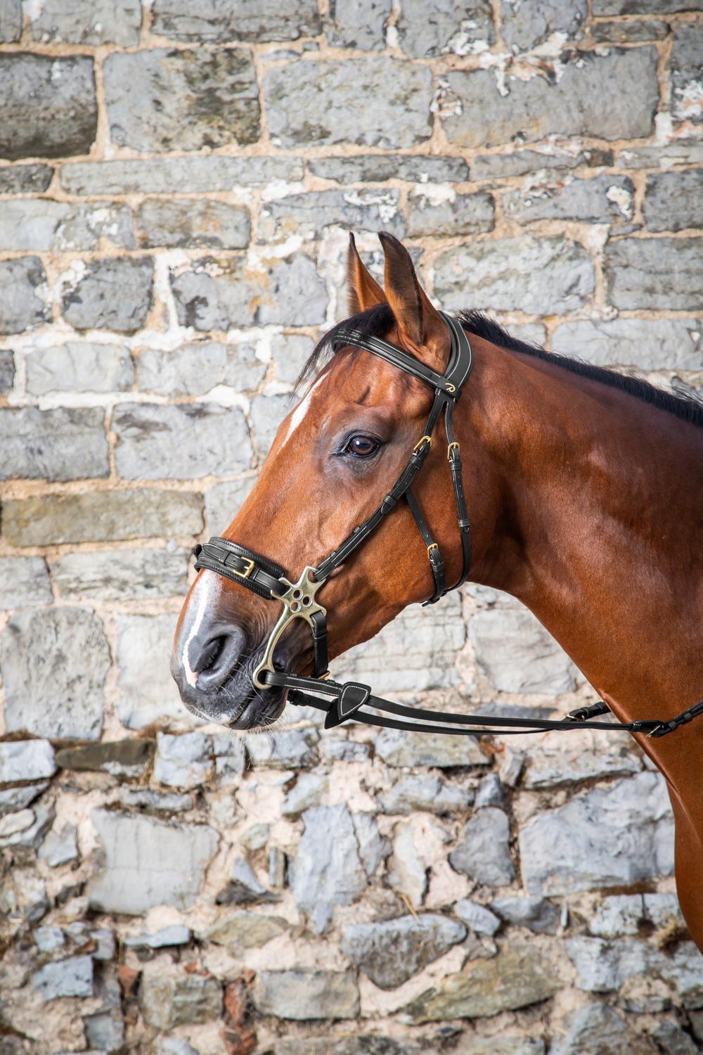 Hackamore Trense