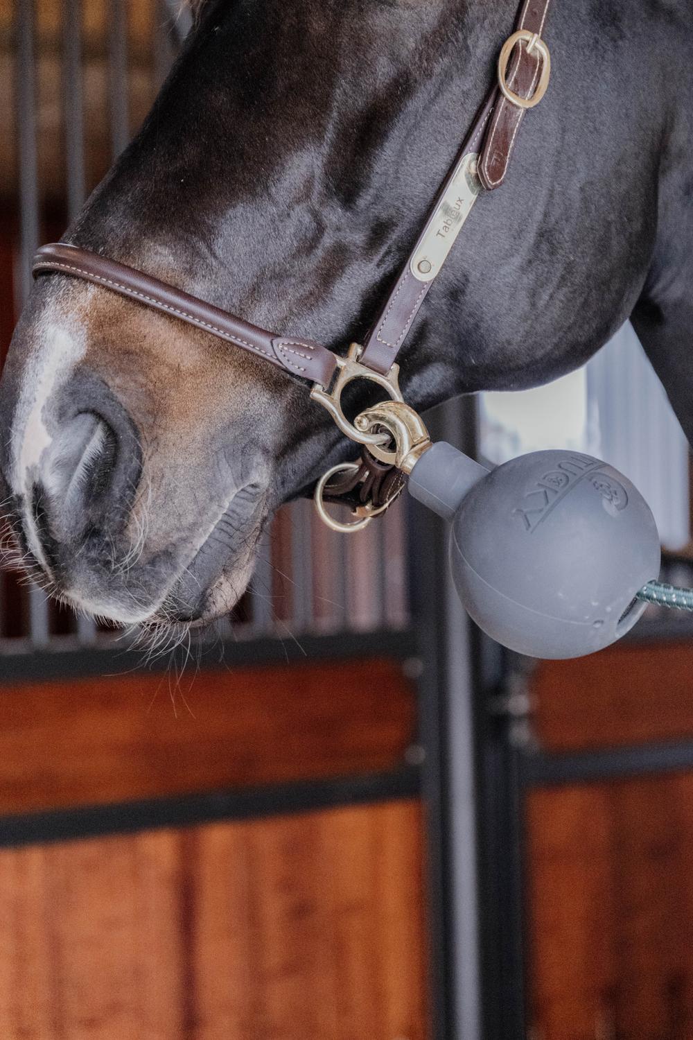 Anbinder & Wandschutz Gummiball - Kentucky Horsewear